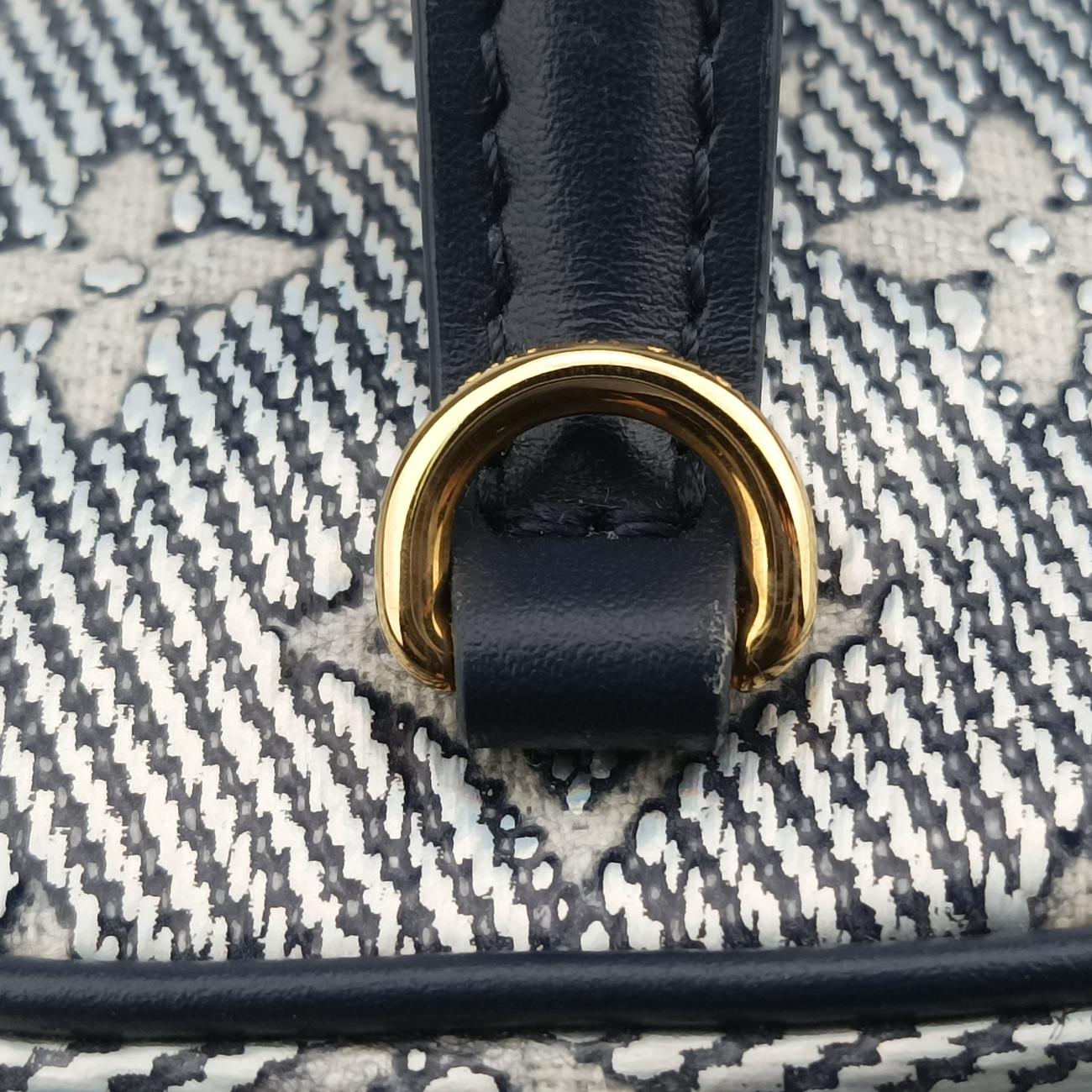 Pre-owned Louis Vuitton Micro Vanity Gray x Blue MONOGRAM JACQUARD DENIM M82467 shoulderbag | stylenewstar