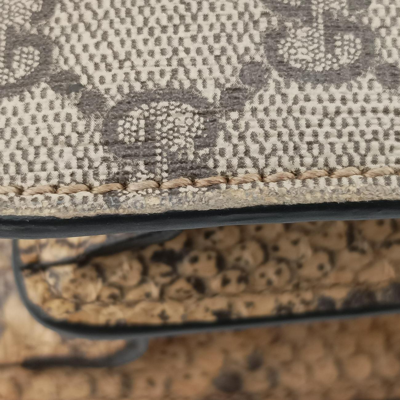 Pre-owned Gucci Dionysus Brown×Multicolor PVC coated canvas 400249 shoulderbag | stylenewstar