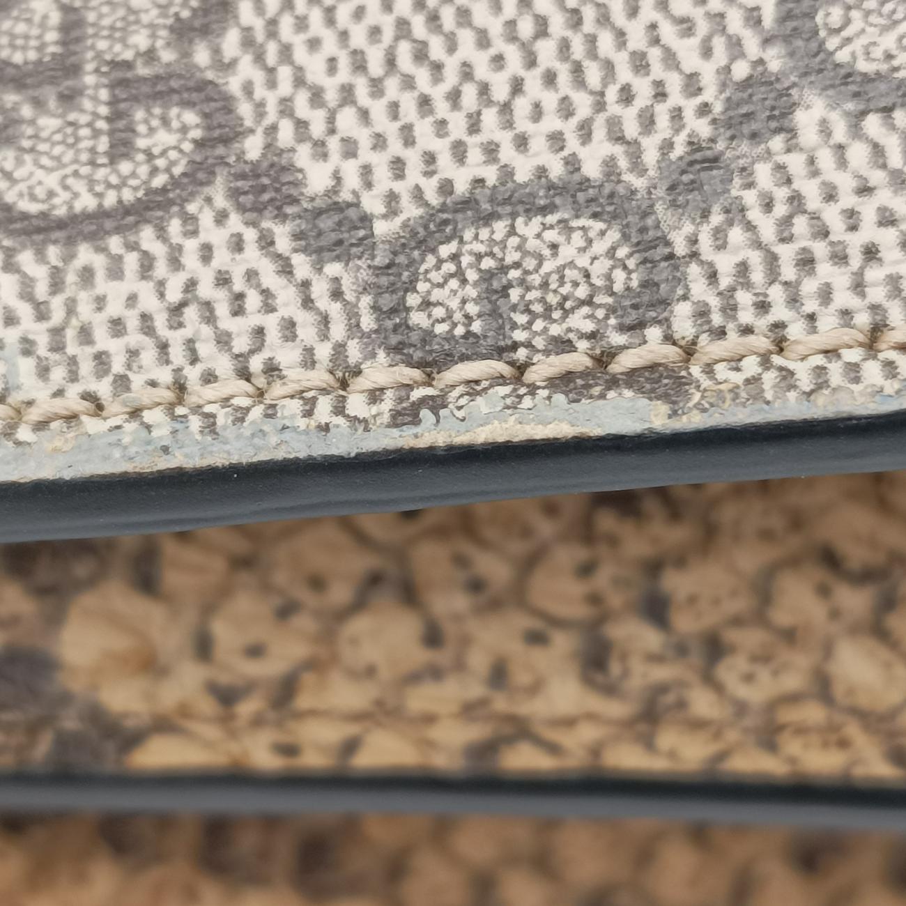 Pre-owned Gucci Dionysus Brown×Multicolor PVC coated canvas 400249 shoulderbag | stylenewstar