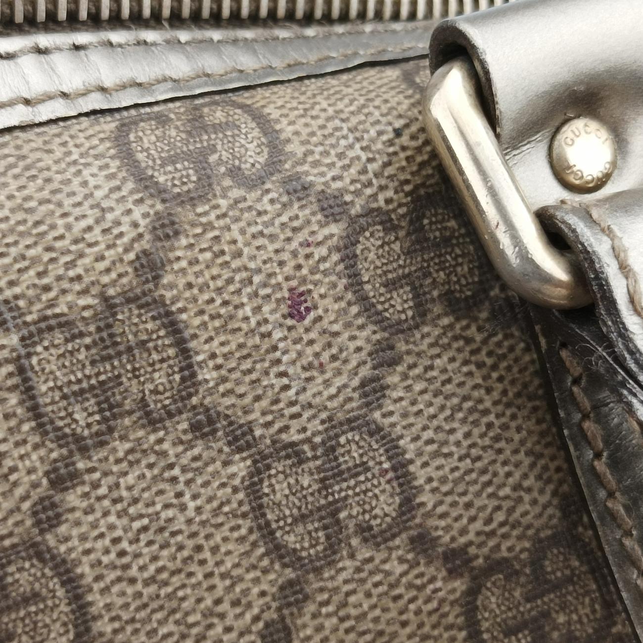 Pre-owned Gucci GG plus Spring Joy GG Supreme beige×silver PVC coated canvas 193603 handbag | stylenewstar