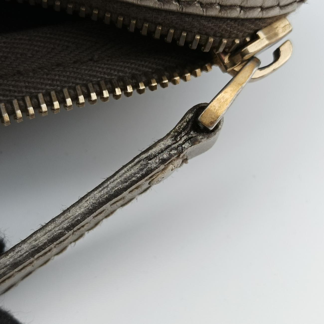 Pre-owned Gucci GG plus Spring Joy GG Supreme beige×silver PVC coated canvas 193603 handbag | stylenewstar