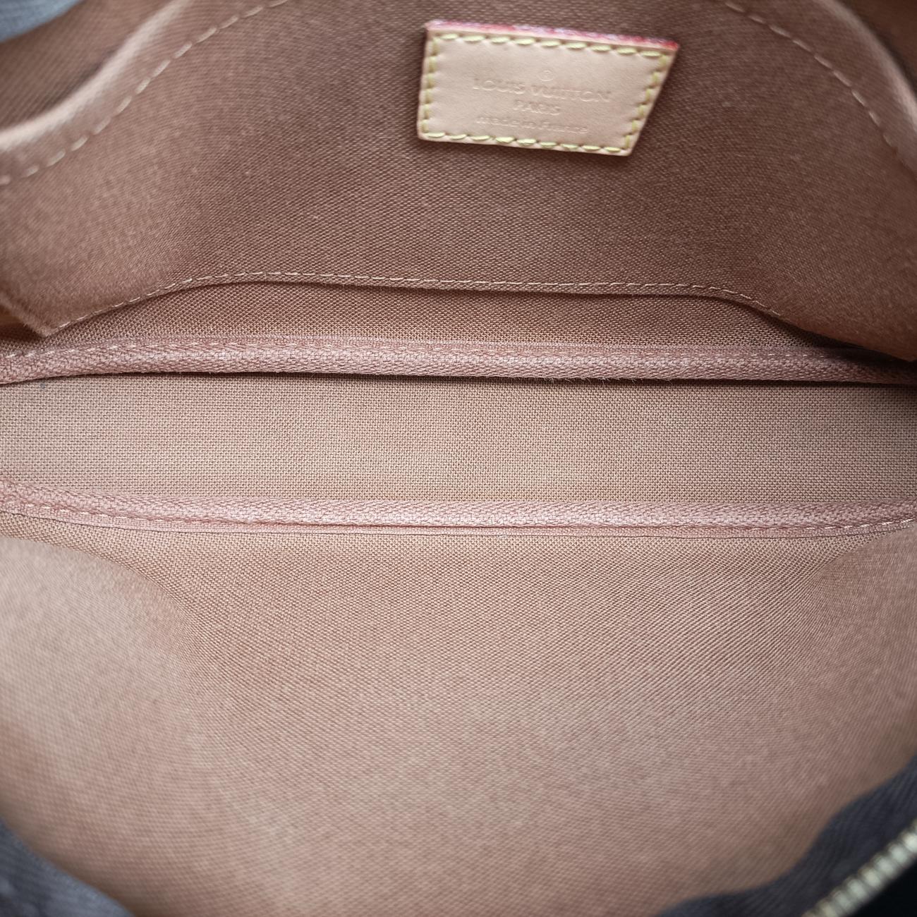 MULTI POCHETTE ACCESSOIRES brown×Beige Monogram Canvas SN5120