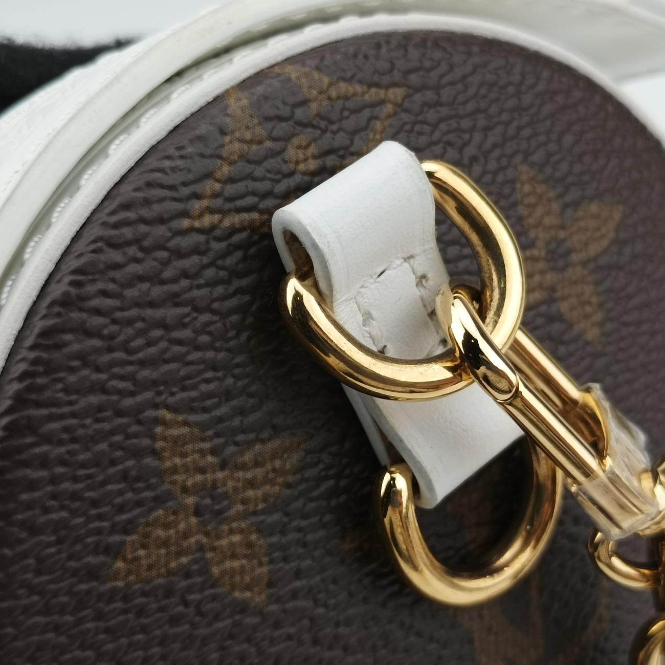 Pre-owned Louis Vuitton Papillon Trunk Brown×white Monogram Canvas×calf leather M81485 shoulderbag | stylenewstar