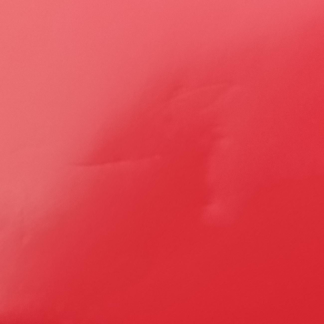 Vintage Chanel BOY CHANEL Red Leather A67086 shoulderbag | stylenewstar