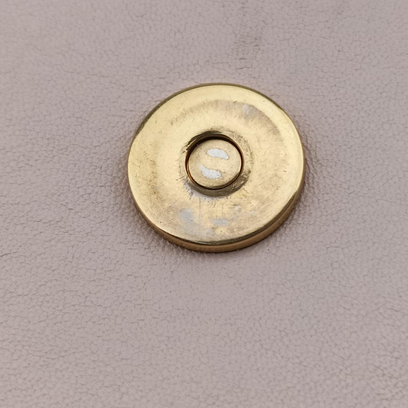 Pre-owned Christian Dior Diorama Pink Leather  shoulderbag | stylenewstar