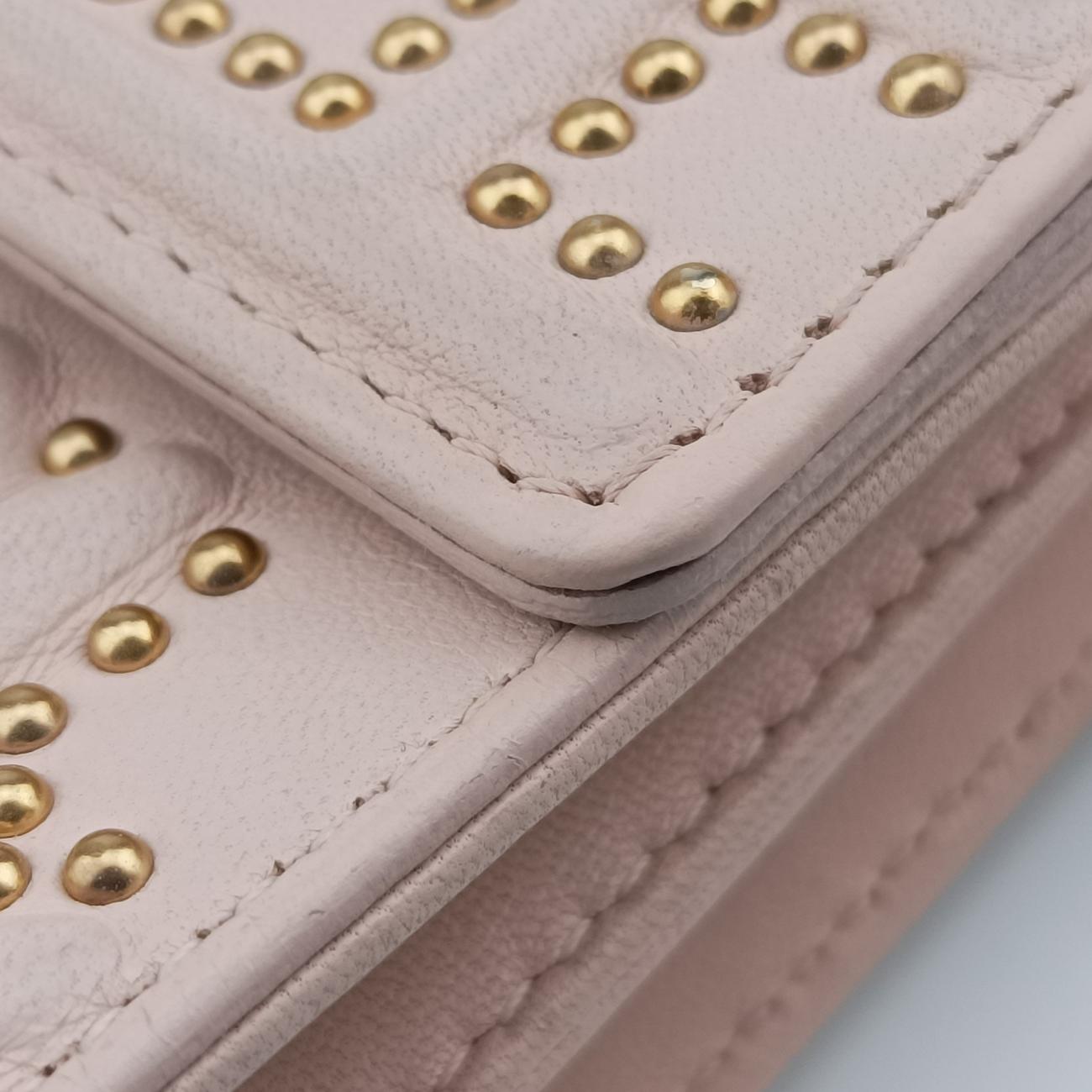 Pre-owned Christian Dior Diorama Pink Leather  shoulderbag | stylenewstar