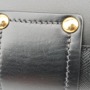 Animalier Cahier Lions Head Black Leather 25