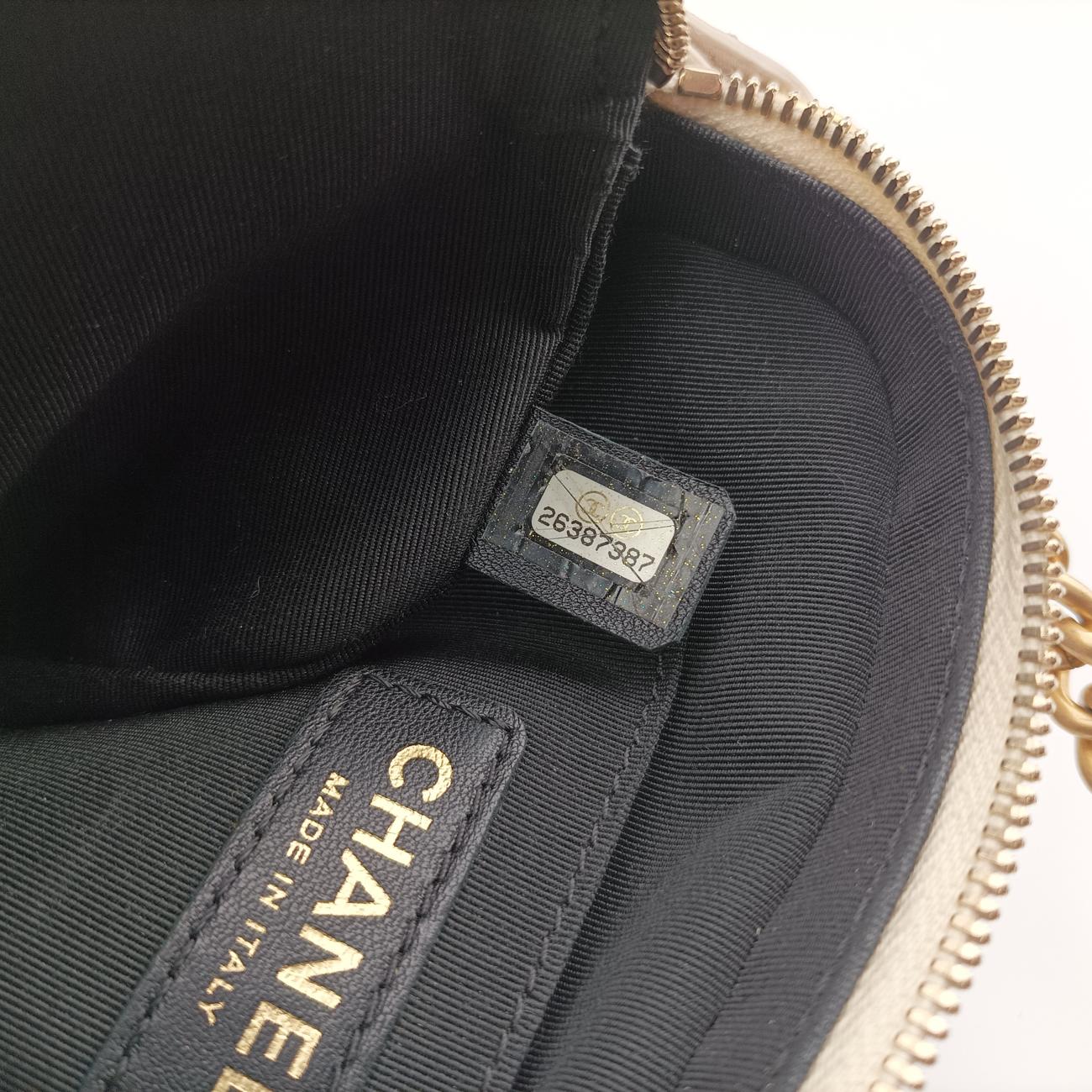 Pre-owned Chanel Button Up Double Zip Camera Pinkish Beige Leather A57574 shoulderbag | stylenewstar