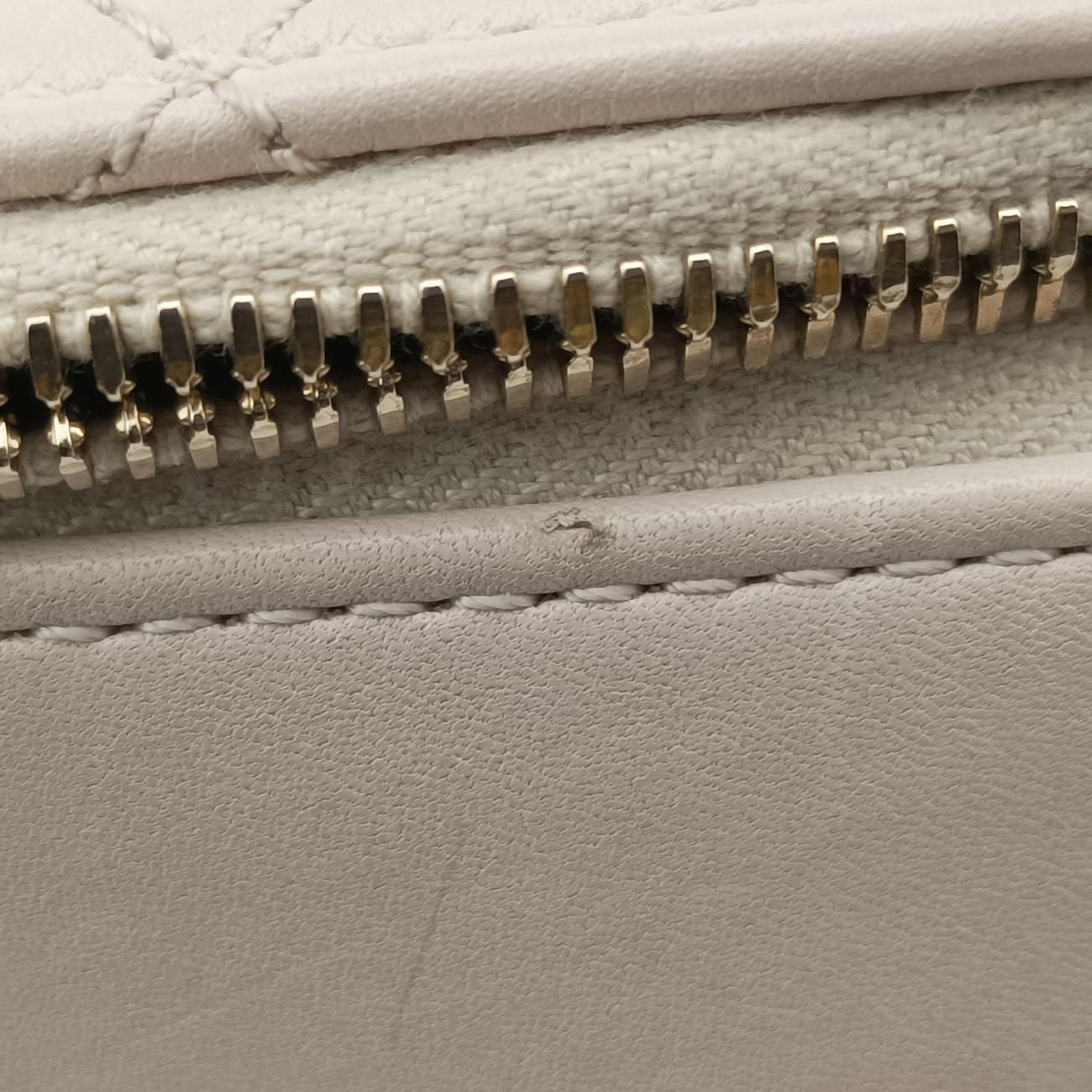 Pre-owned Chanel Button Up Double Zip Camera Pinkish Beige Leather A57574 shoulderbag | stylenewstar