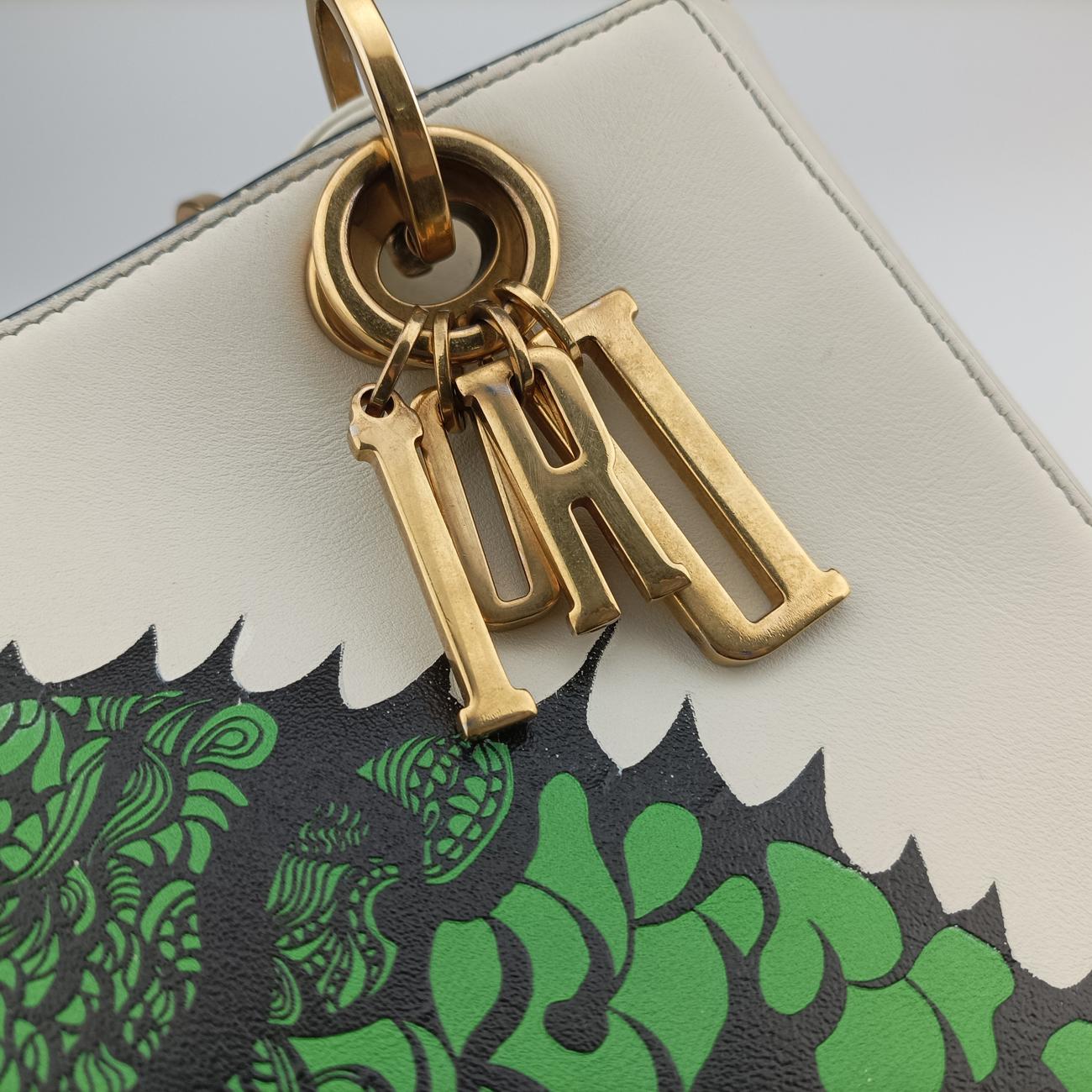 Pre-owned Christian Dior Lady Dior White x Multicolor Leather  shoulderbag | stylenewstar