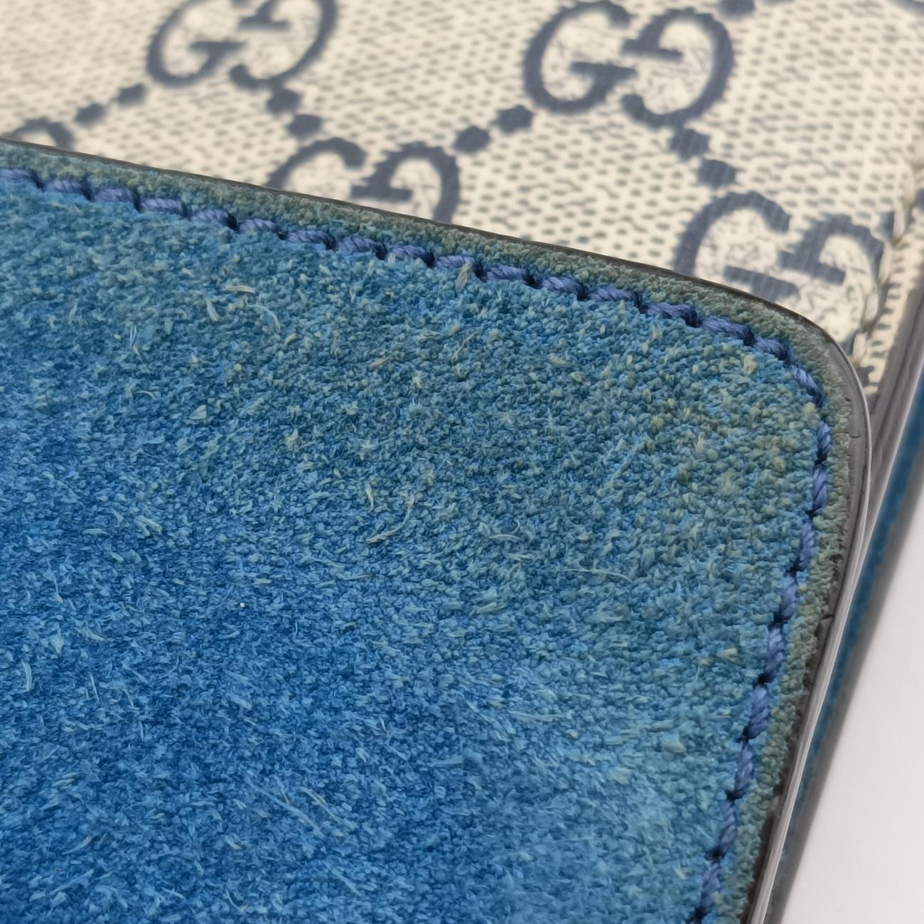 Dionysus Beige×blue×Multicolour PVC coated canvas G020938151