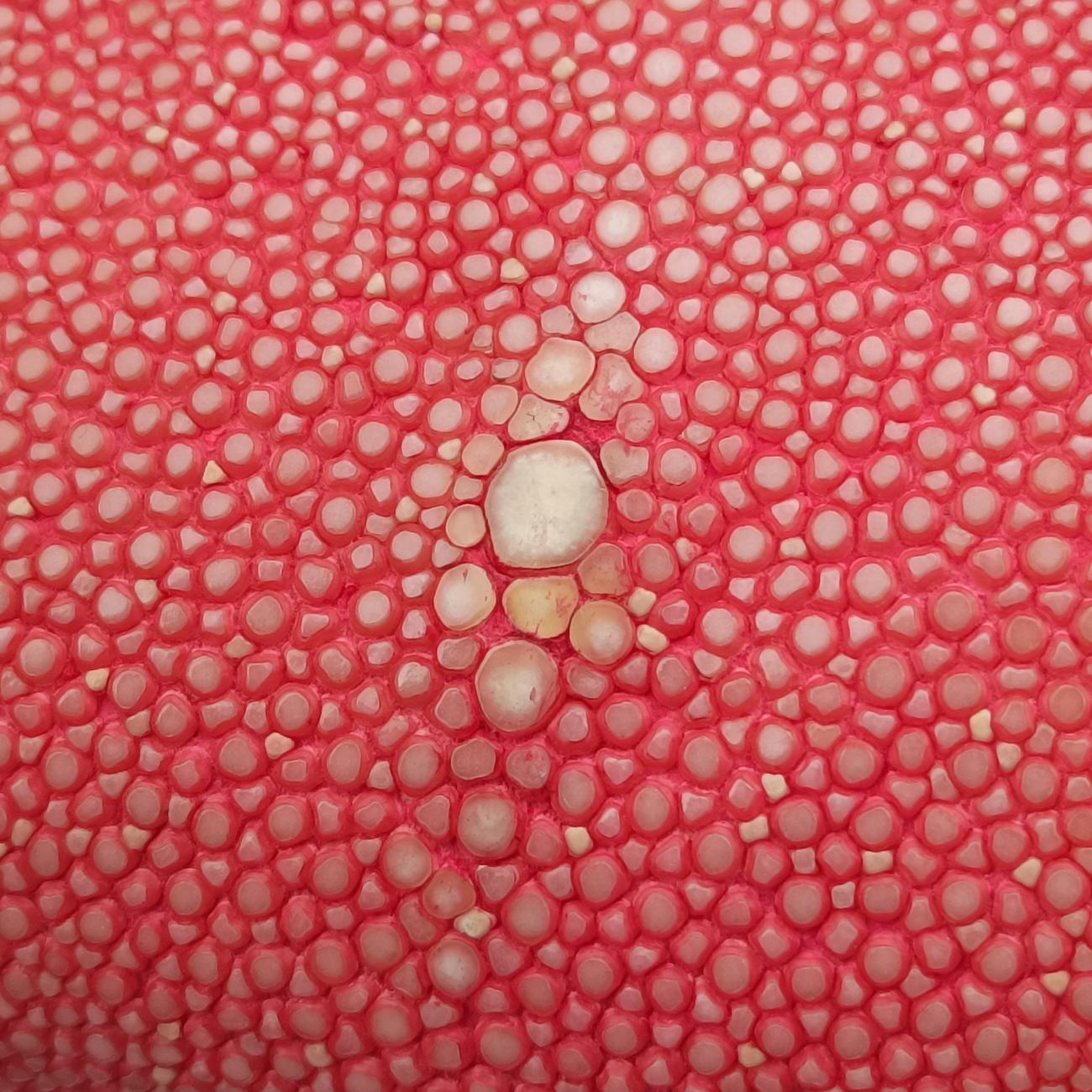 Vintage Chanel BOY CHANEL Red lambskin×Garrusha A66230 shoulderbag | stylenewstar