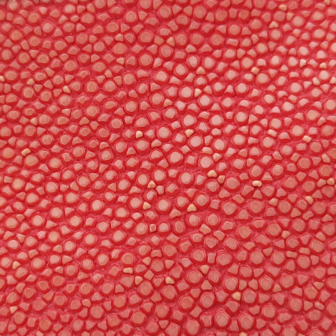 Vintage Chanel BOY CHANEL Red lambskin×Garrusha A66230 shoulderbag | stylenewstar