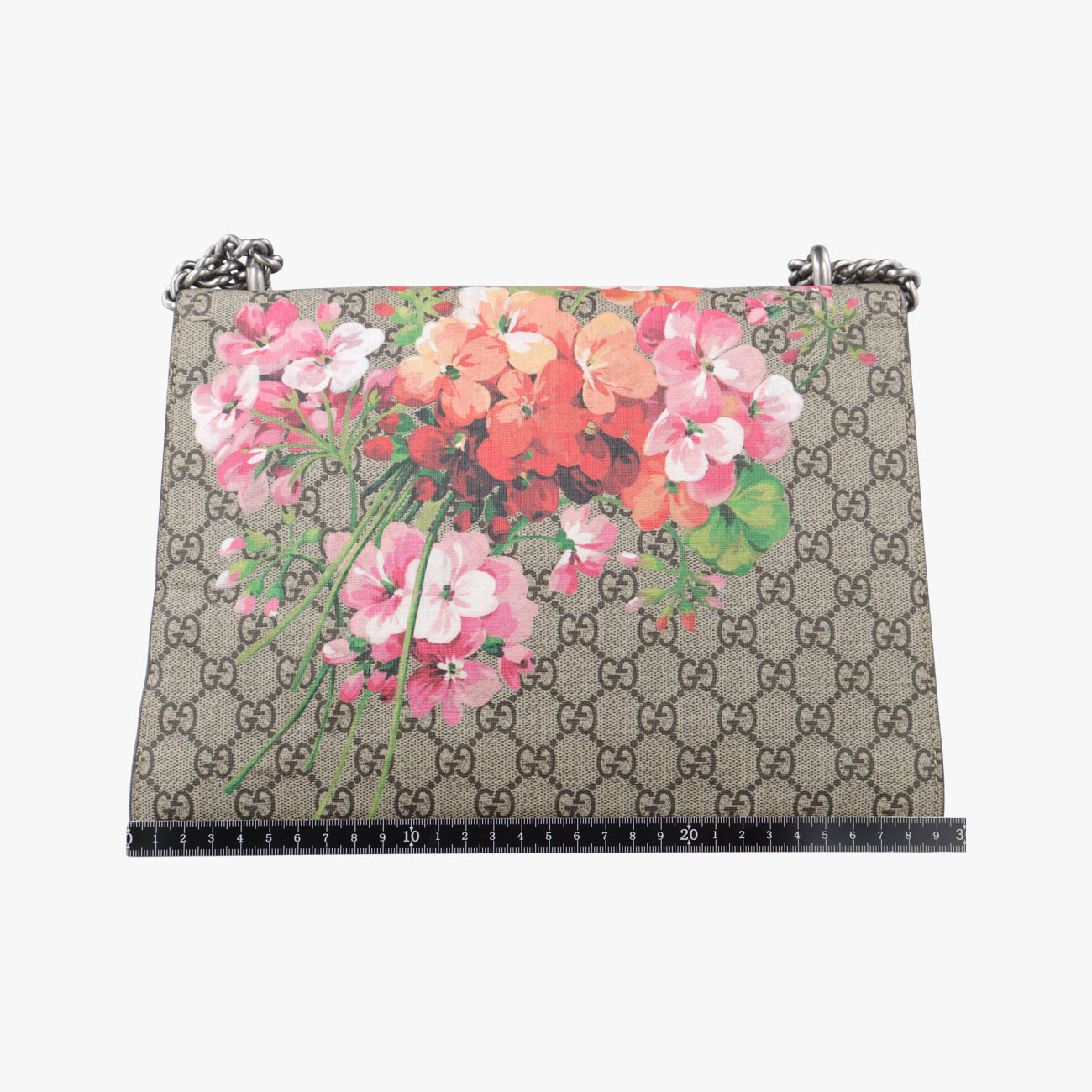 Pre-owned Gucci Dionysus beige×red×multicolor PVC coated canvas 400235 shoulderbag | stylenewstar