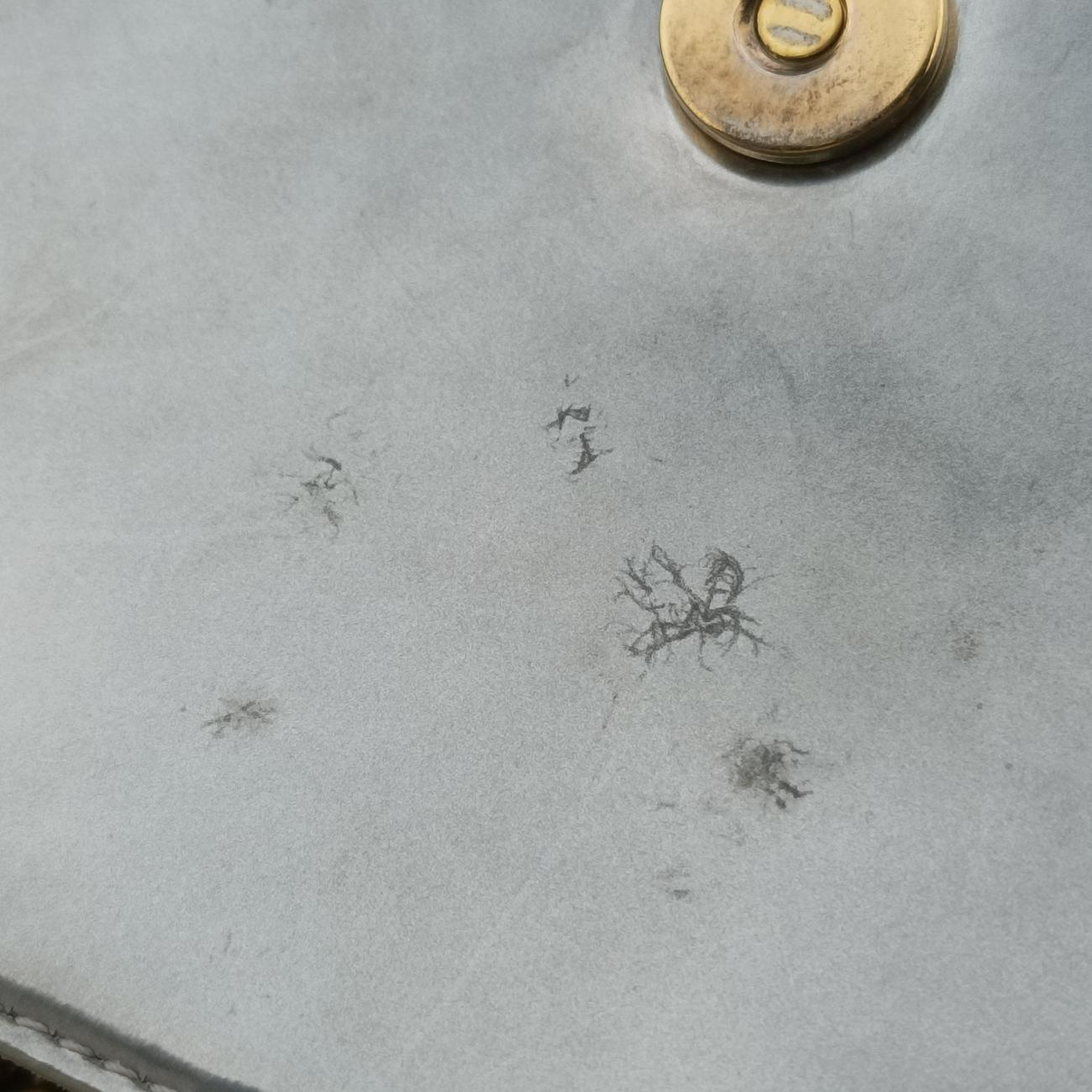 Secondhand Christian Dior Diorama Silver Patent　  shoulderbag | stylenewstar