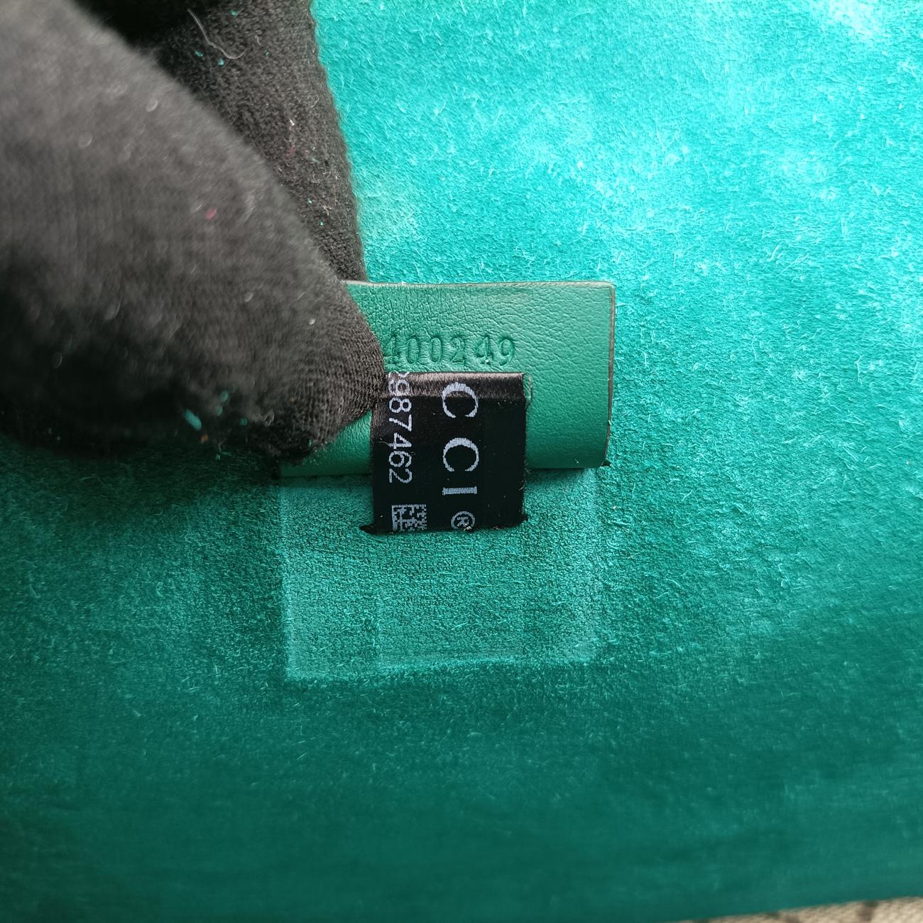 Pre-owned Gucci Dionysus beige×green×Multicolour PVC coated canvas 400249 shoulderbag | stylenewstar