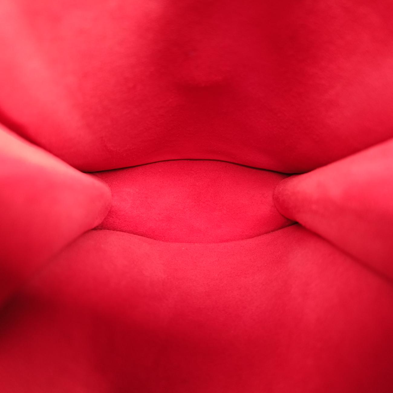 Pre-owned Christian Dior Diorama Red Leather  shoulderbag | stylenewstar