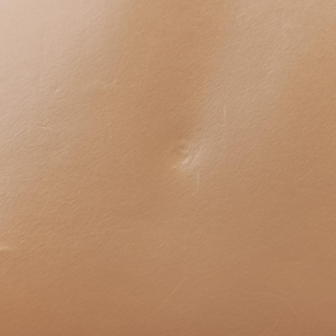 Pre-owned Chanel BOY CHANEL Beige Leather A66713 shoulderbag | stylenewstar