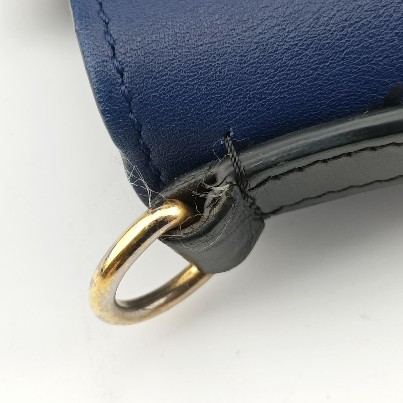 Pre-owned Celine luggage nano shopper Black x Blue x Green Leather  shoulderbag | stylenewstar