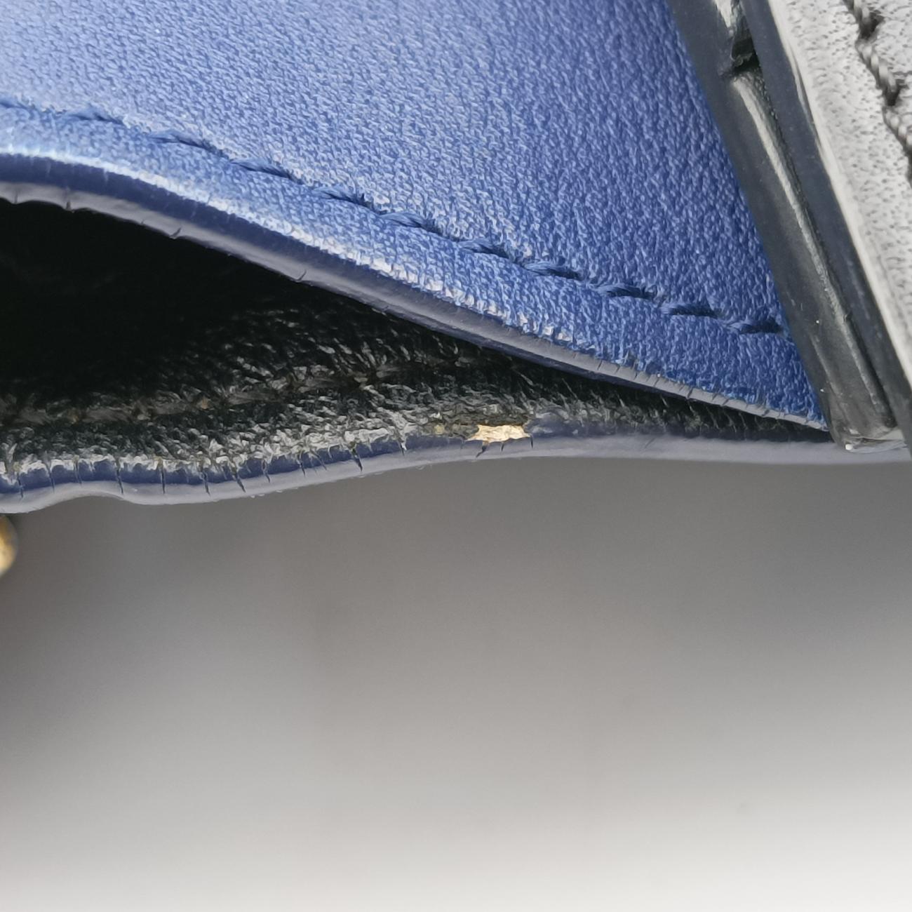 Pre-owned Celine luggage nano shopper Black x Blue x Green Leather  shoulderbag | stylenewstar