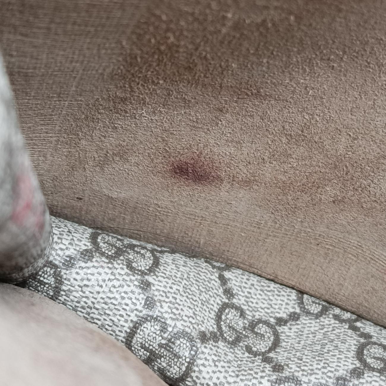 Pre-owned Gucci Dionysus beige×Multicolour PVC coated canvas 400235 shoulderbag | stylenewstar