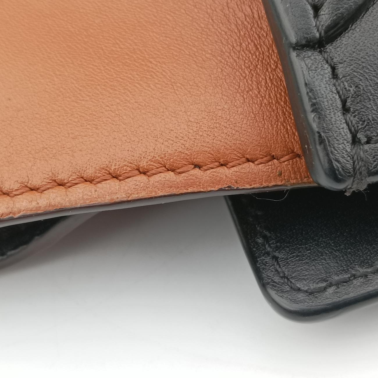 Pre-owned Celine luggage nano shopper Black×Brown×Green leather  shoulderbag | stylenewstar