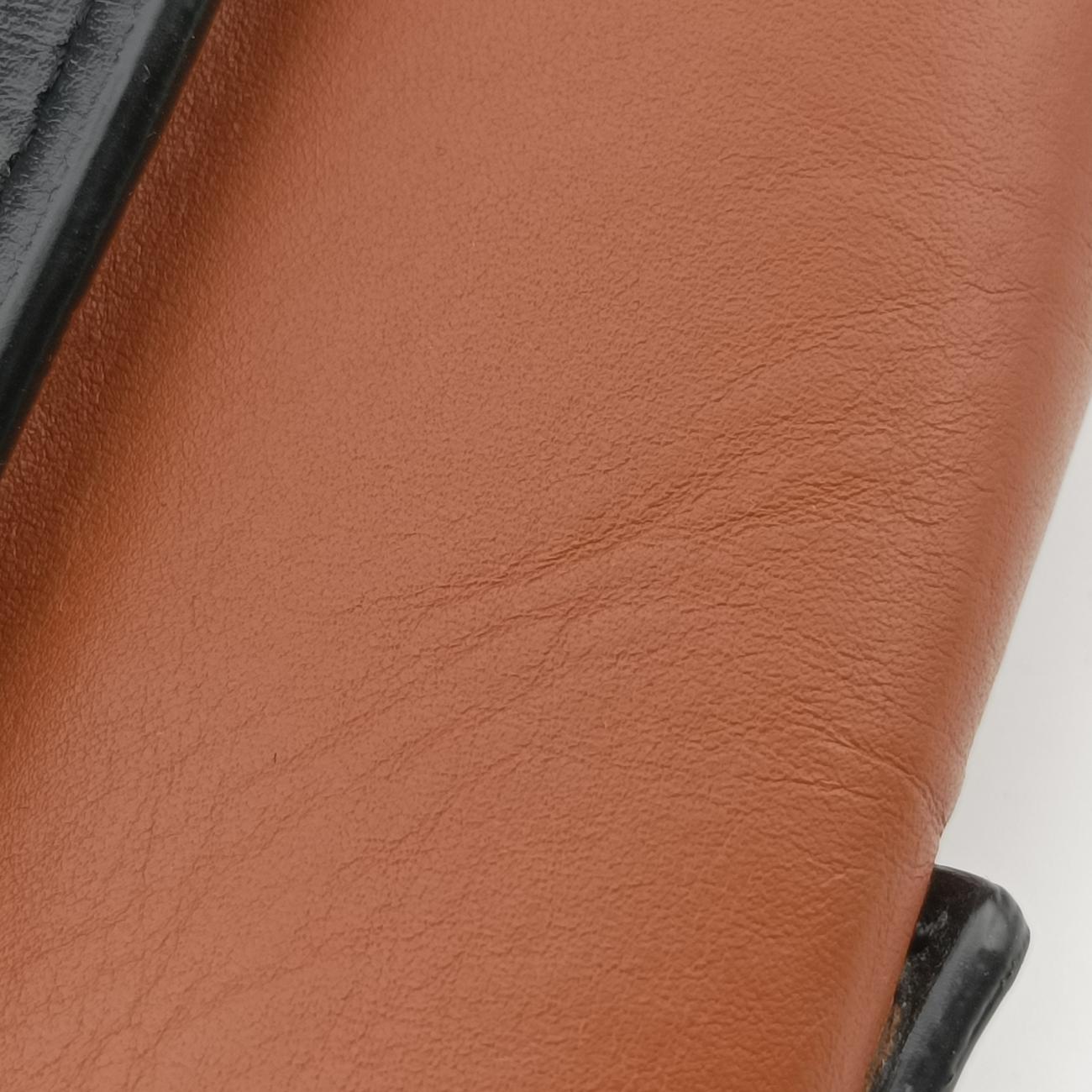 Pre-owned Celine luggage nano shopper Black×Brown×Green leather  shoulderbag | stylenewstar