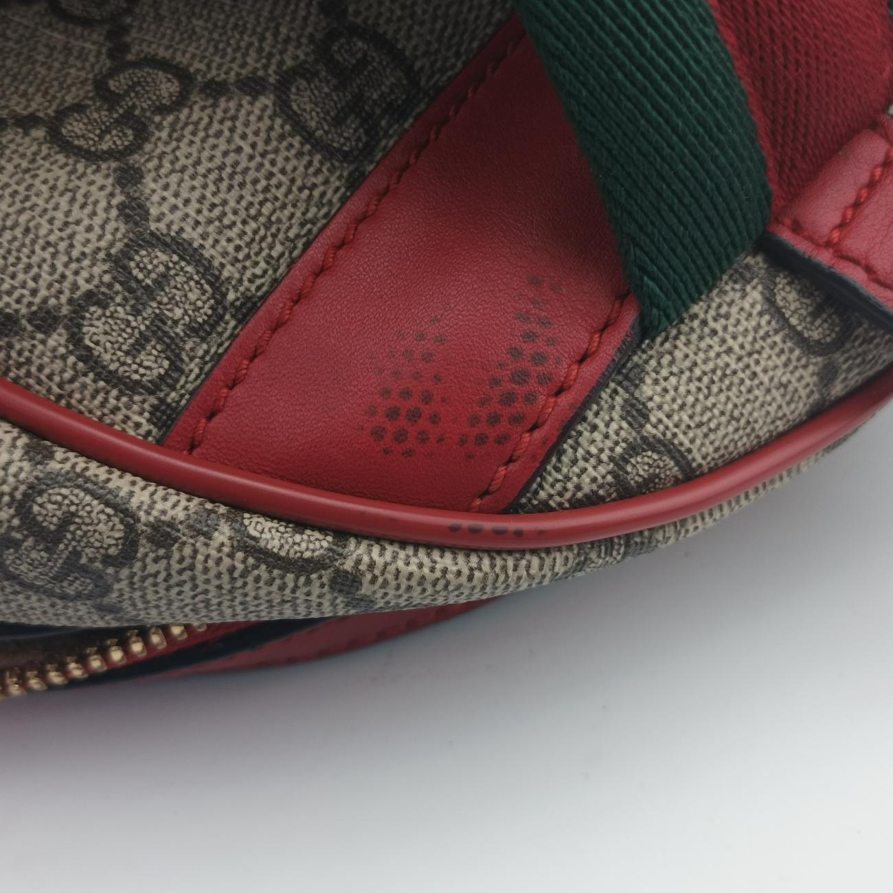 Vintage Gucci GG Supreme Tian Beige×Multicolour PVC coated canvas 427042 backpack/rucksack | stylenewstar