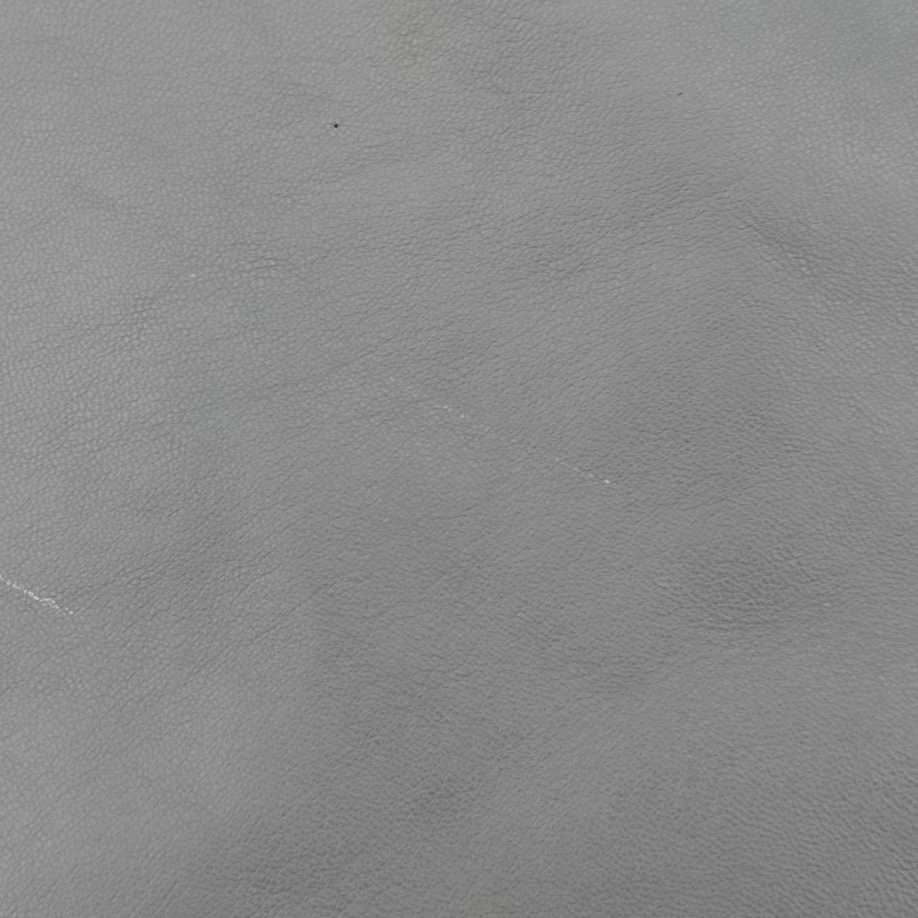 Pre-owned Celine Horizontal  side zip Grey leather  shoulderbag | stylenewstar