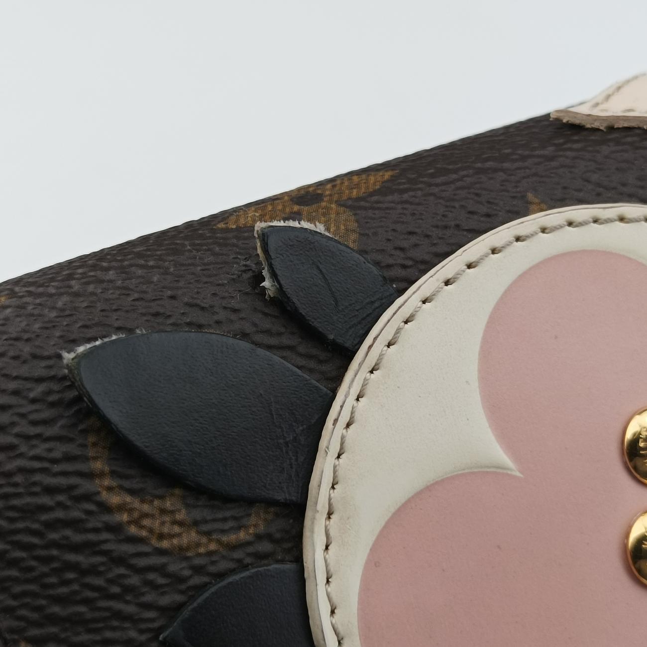 Vintage Louis Vuitton Félicie Brown×multicolor Leather M62415 shoulderbag | stylenewstar