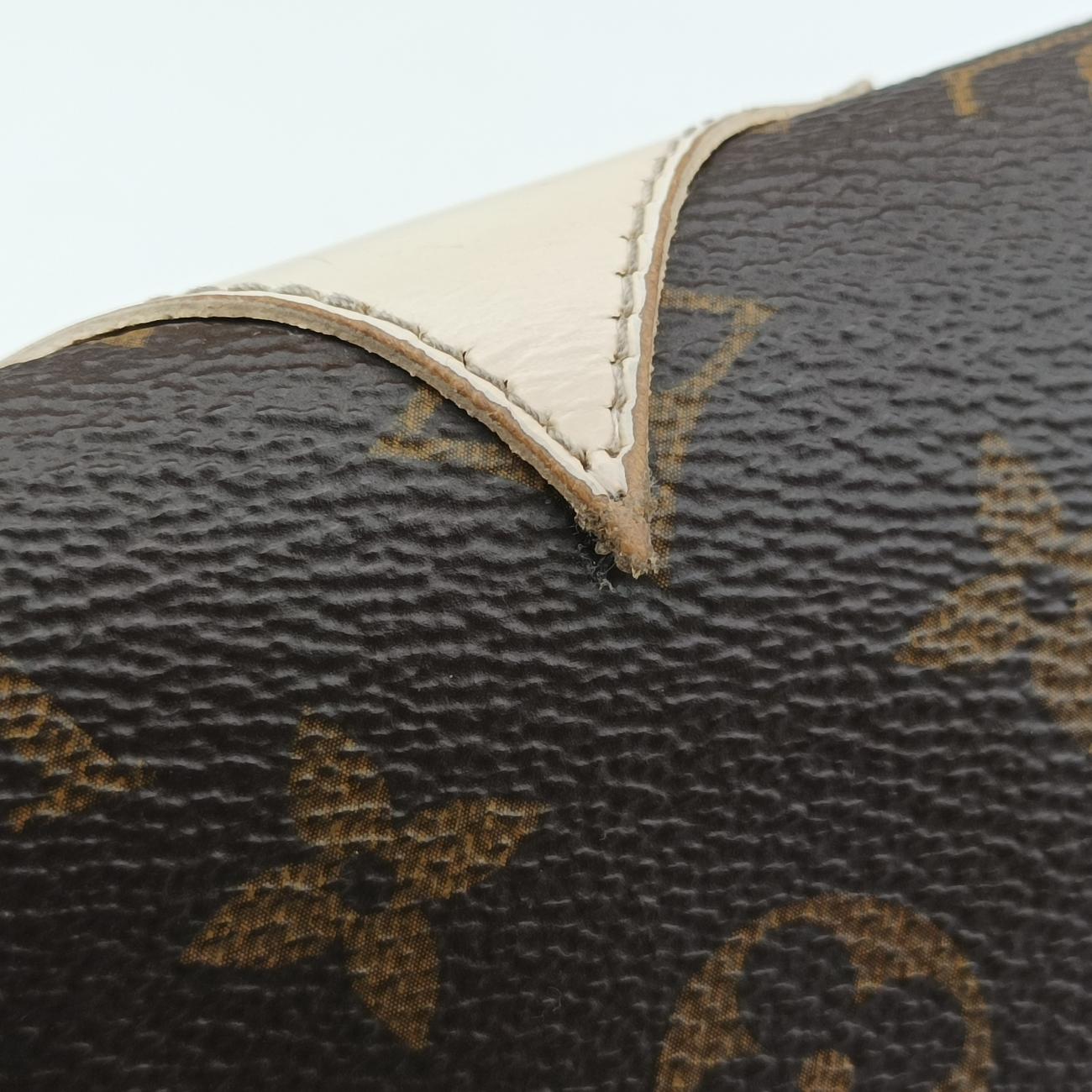 Vintage Louis Vuitton Félicie Brown×multicolor Leather M62415 shoulderbag | stylenewstar