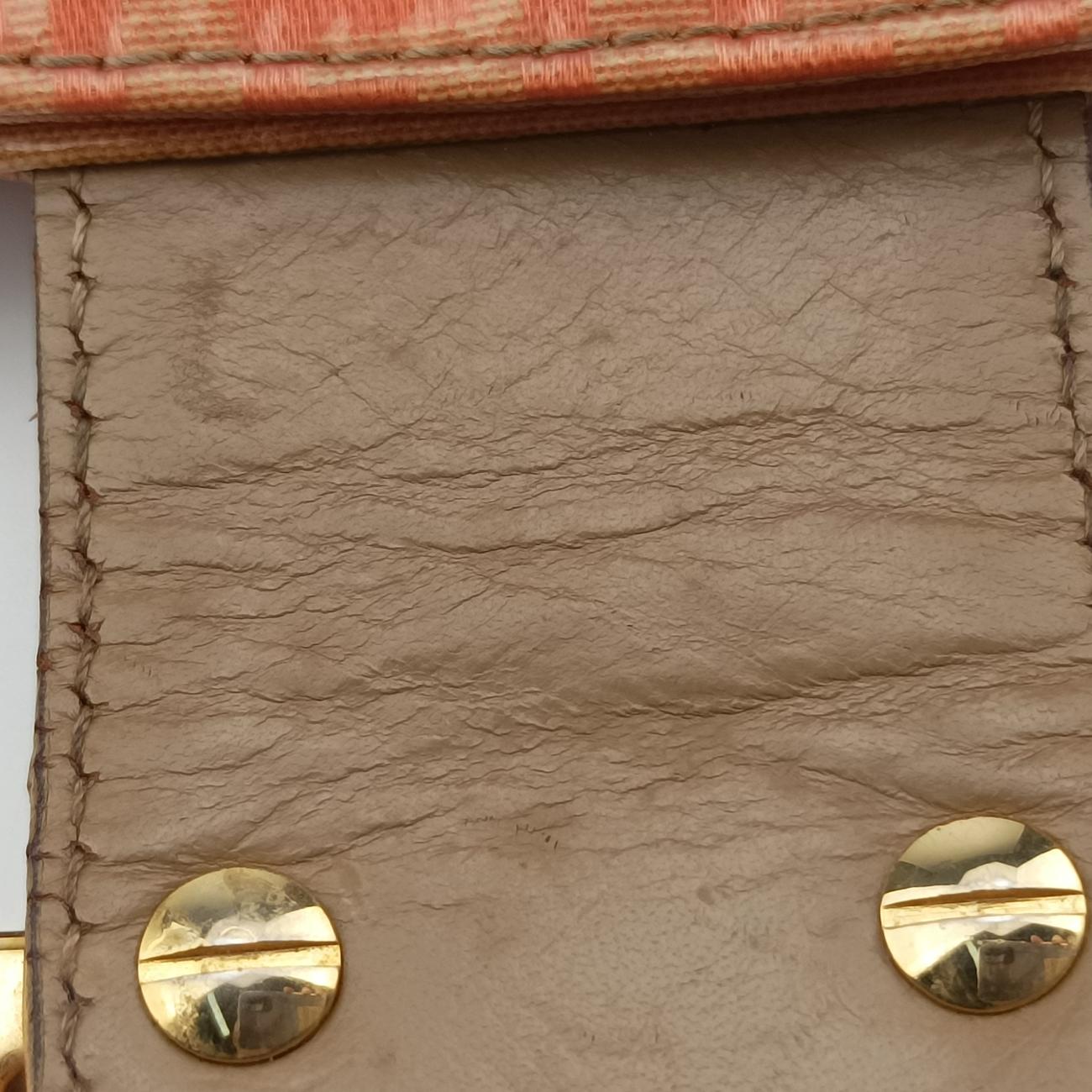 Pre-owned Fendi Baguette Multicolour PVC coated canvas  shoulderbag | stylenewstar