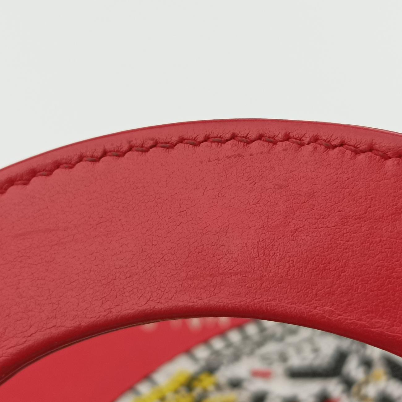 Secondhand Christian Dior Niki de Saint Phalle Lady Dior Red×multicolor Leather  shoulderbag | stylenewstar