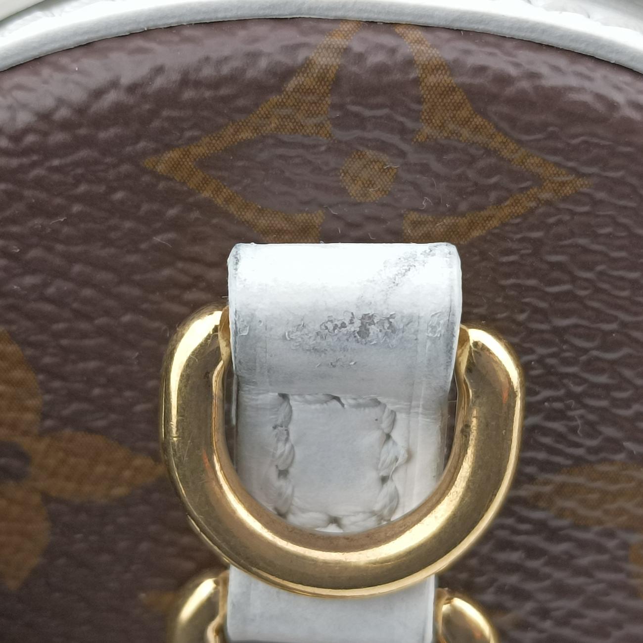 Pre-owned Louis Vuitton Papillon Trunk Brown×white Monogram Canvas×calf leather M81485 shoulderbag | stylenewstar