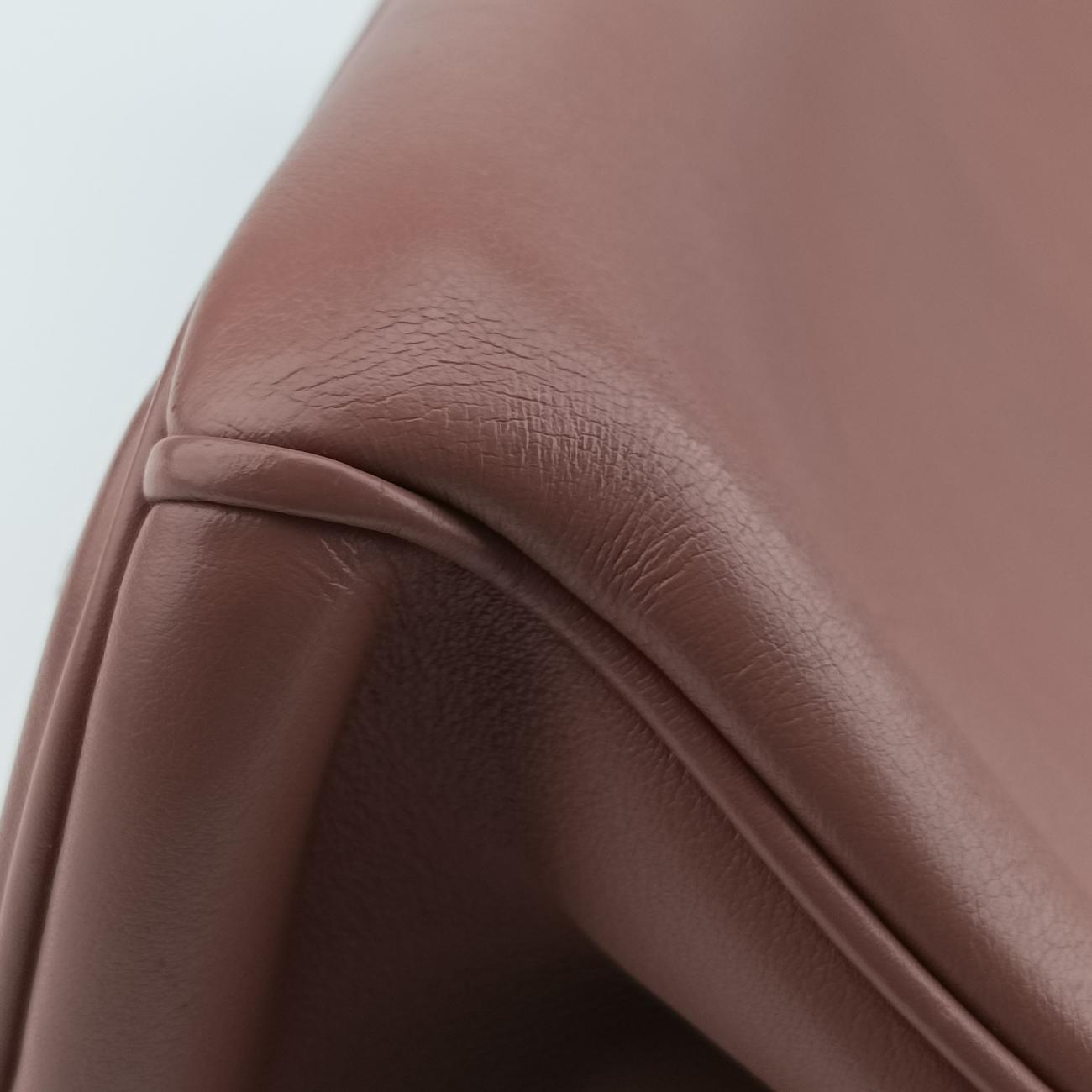 Pre-owned Christian Dior Diorissimo Brown × Purple Leather  shoulderbag | stylenewstar