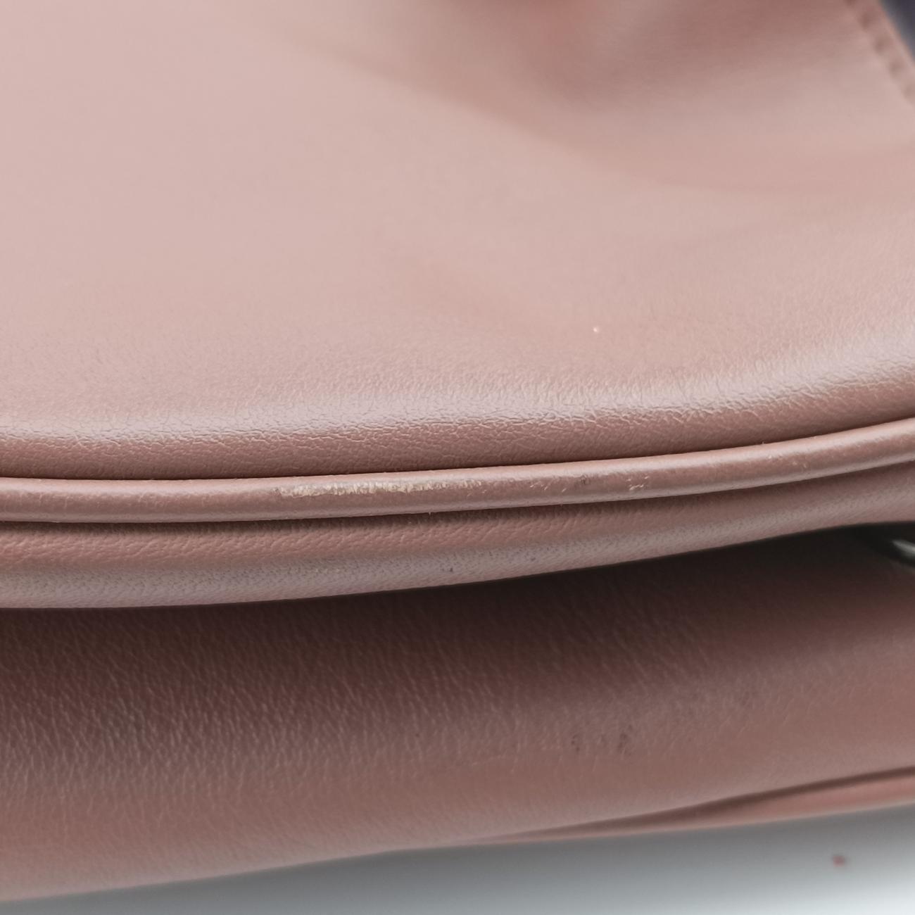 Pre-owned Christian Dior Diorissimo Brown × Purple Leather  shoulderbag | stylenewstar