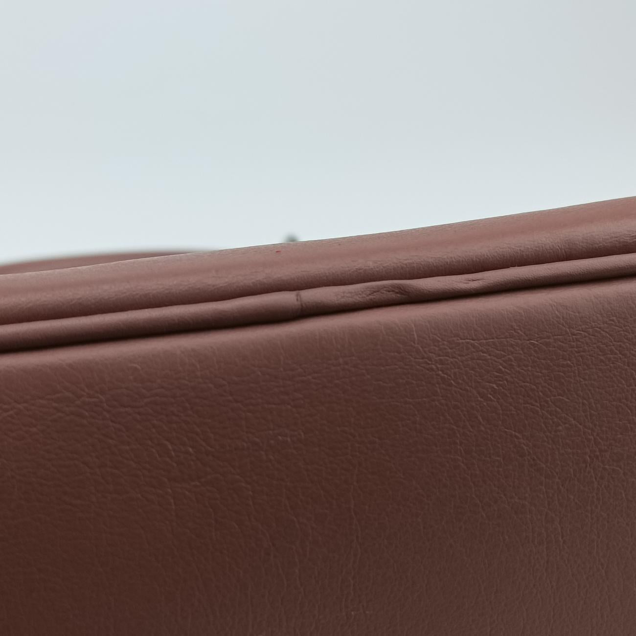 Pre-owned Christian Dior Diorissimo Brown × Purple Leather  shoulderbag | stylenewstar