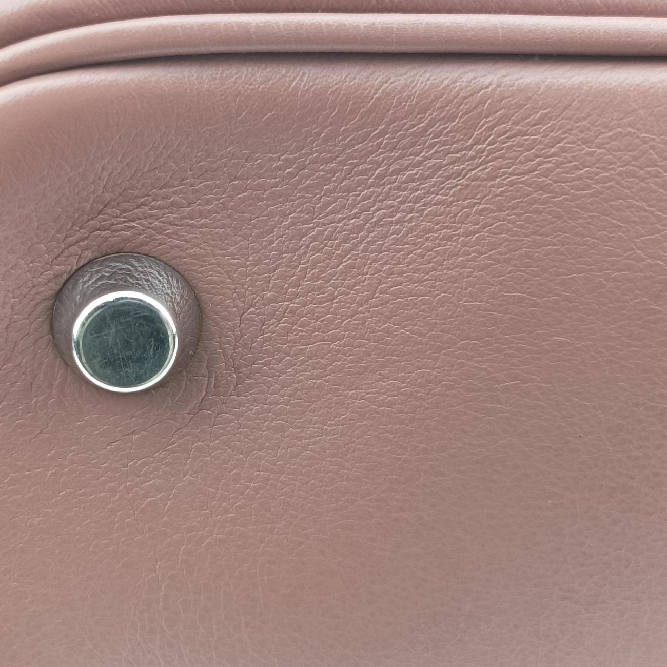 Pre-owned Christian Dior Diorissimo Brown × Purple Leather  shoulderbag | stylenewstar