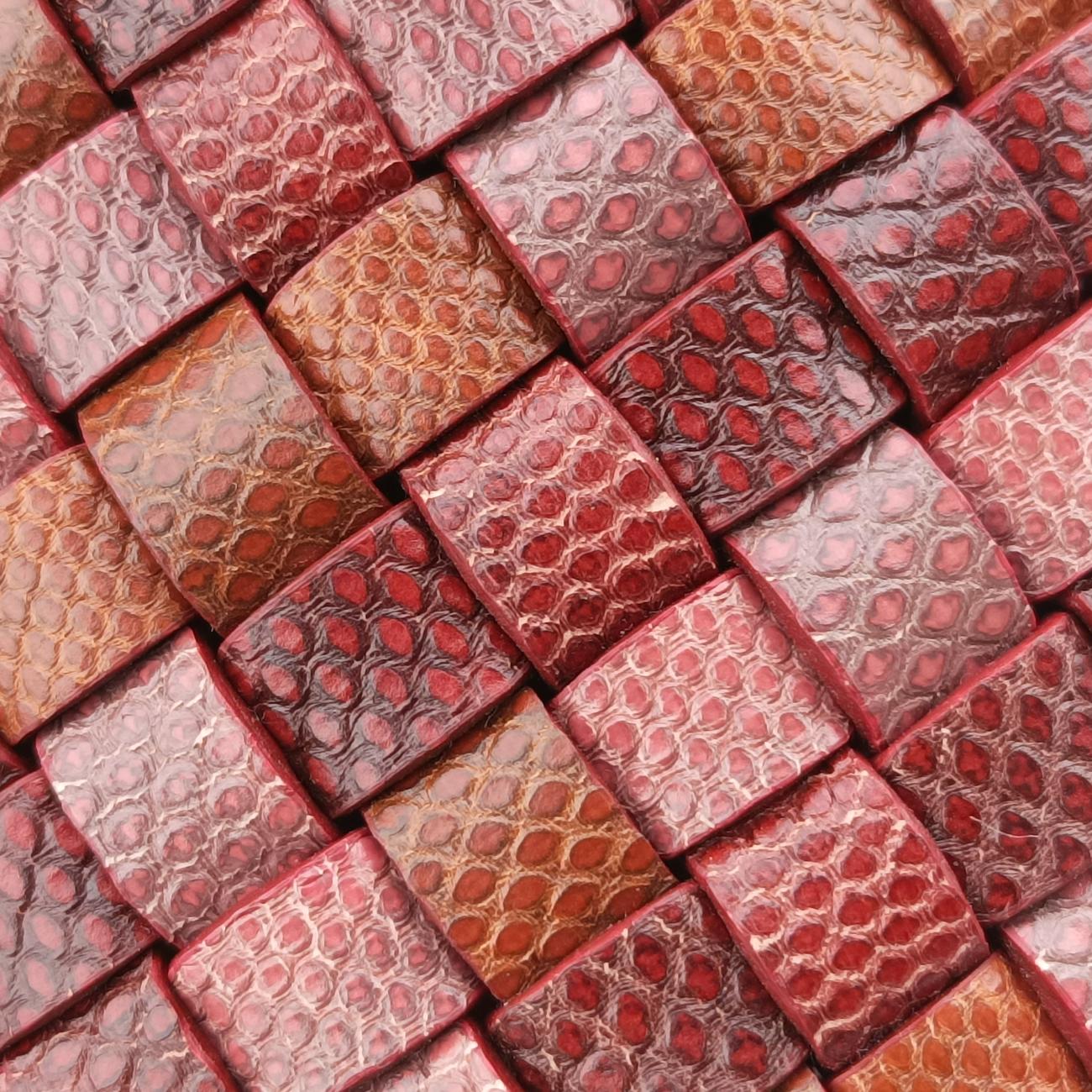 Pre-owned Bottega Veneta Intrecciato Red×Multicolour Leather  shoulderbag | stylenewstar