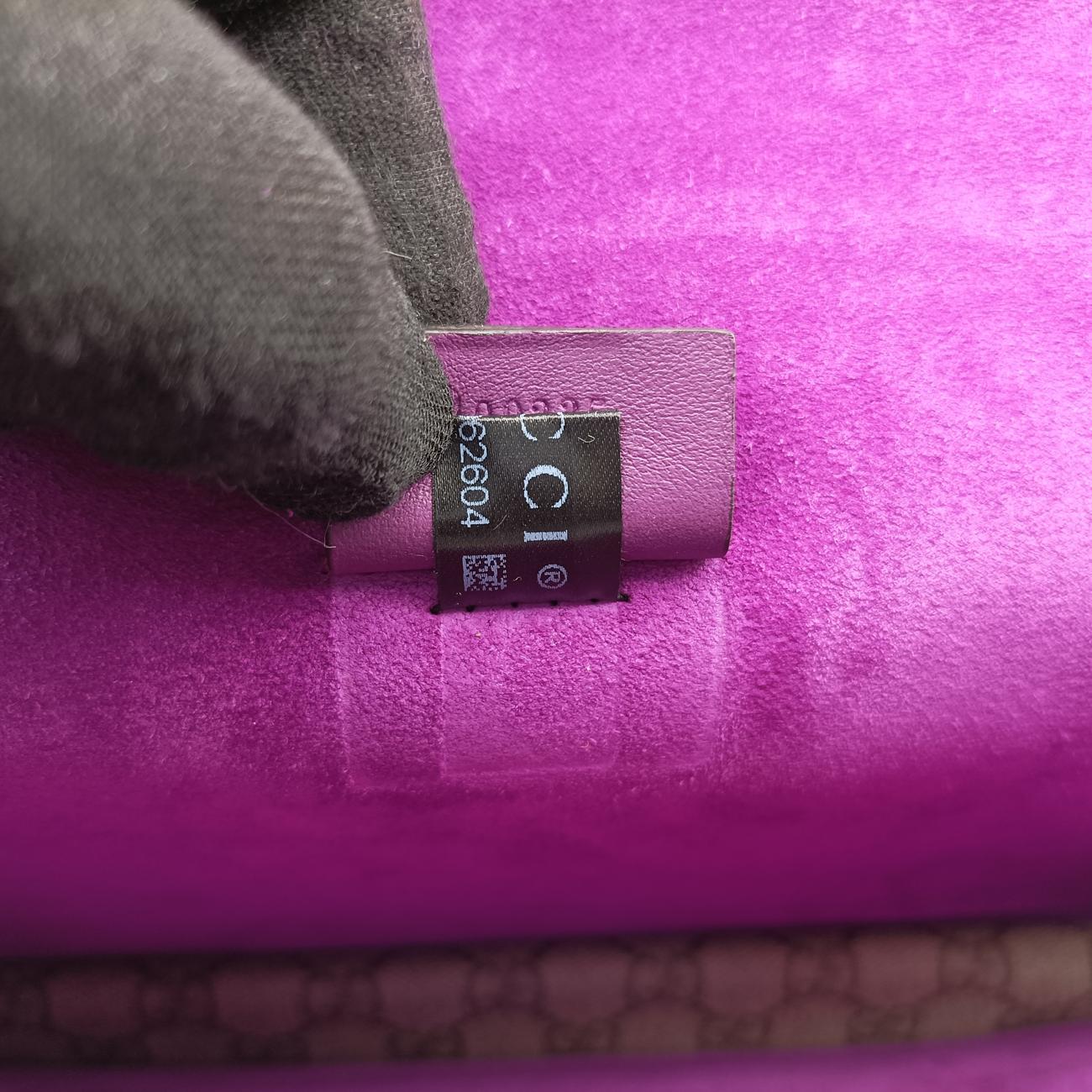 Pre-owned Gucci Dionysus Beige x Purple x Multicolor PVC coated canvas × suede 400235 shoulderbag | stylenewstar