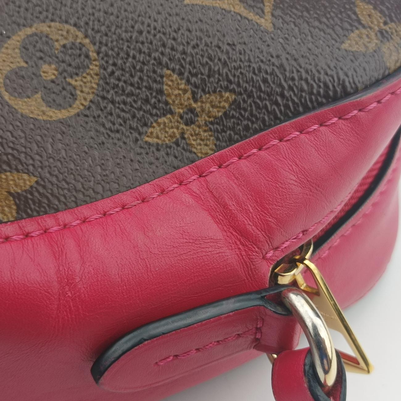 Pre-owned Louis Vuitton SAINTONGE brown×Freesia Monogram Canvas×calf leather M43557 shoulderbag | stylenewstar