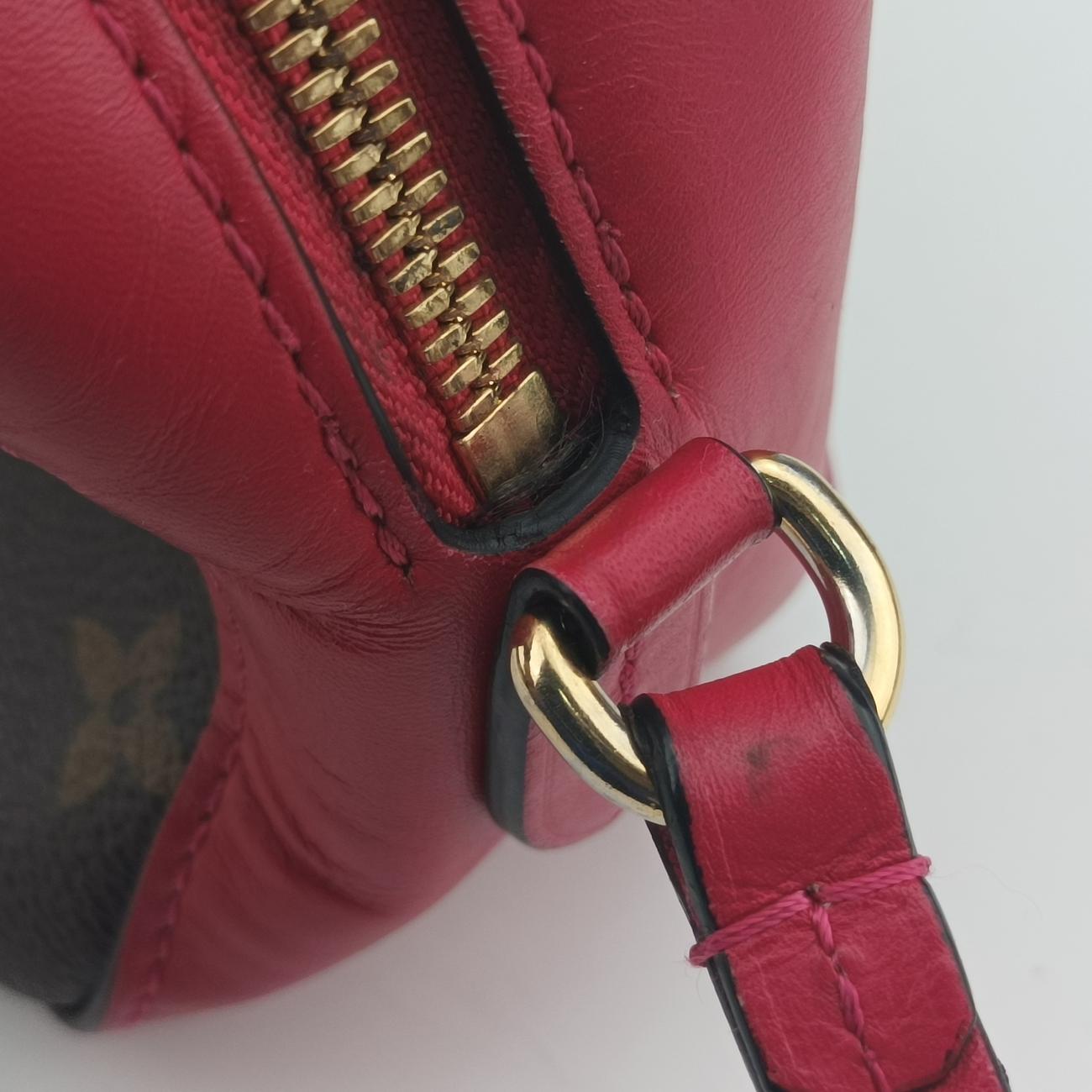 Pre-owned Louis Vuitton SAINTONGE brown×Freesia Monogram Canvas×calf leather M43557 shoulderbag | stylenewstar