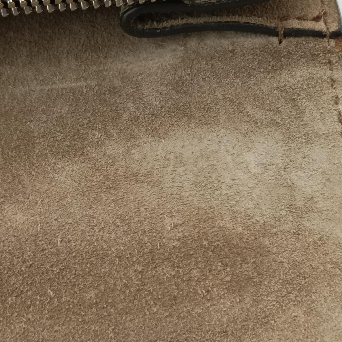 Vintage Gucci Dionysus beige×Multicolour PVC coated canvas 400235 shoulderbag | stylenewstar