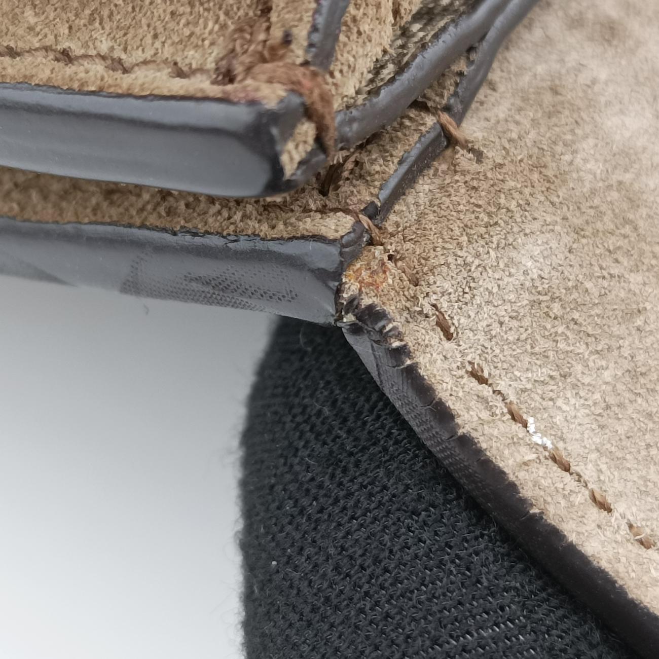 Vintage Gucci Dionysus beige×Multicolour PVC coated canvas 400235 shoulderbag | stylenewstar