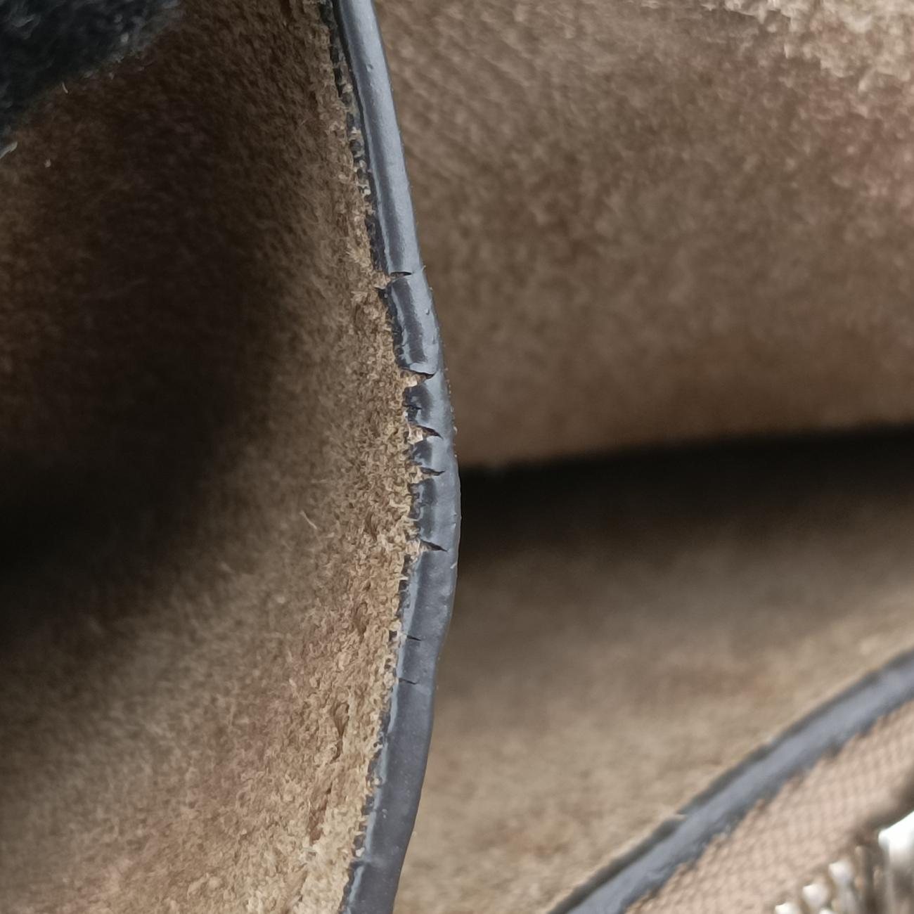 Vintage Gucci Dionysus beige×Multicolour PVC coated canvas 400235 shoulderbag | stylenewstar