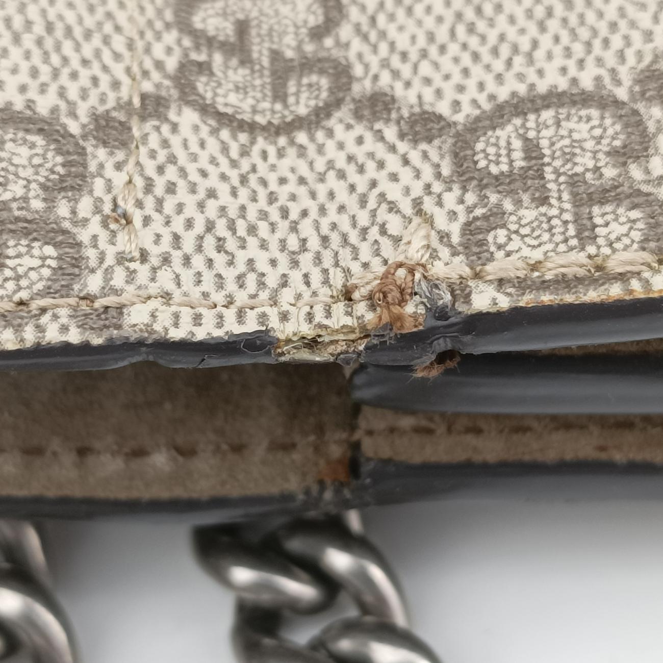 Vintage Gucci Dionysus beige×Multicolour PVC coated canvas 400235 shoulderbag | stylenewstar