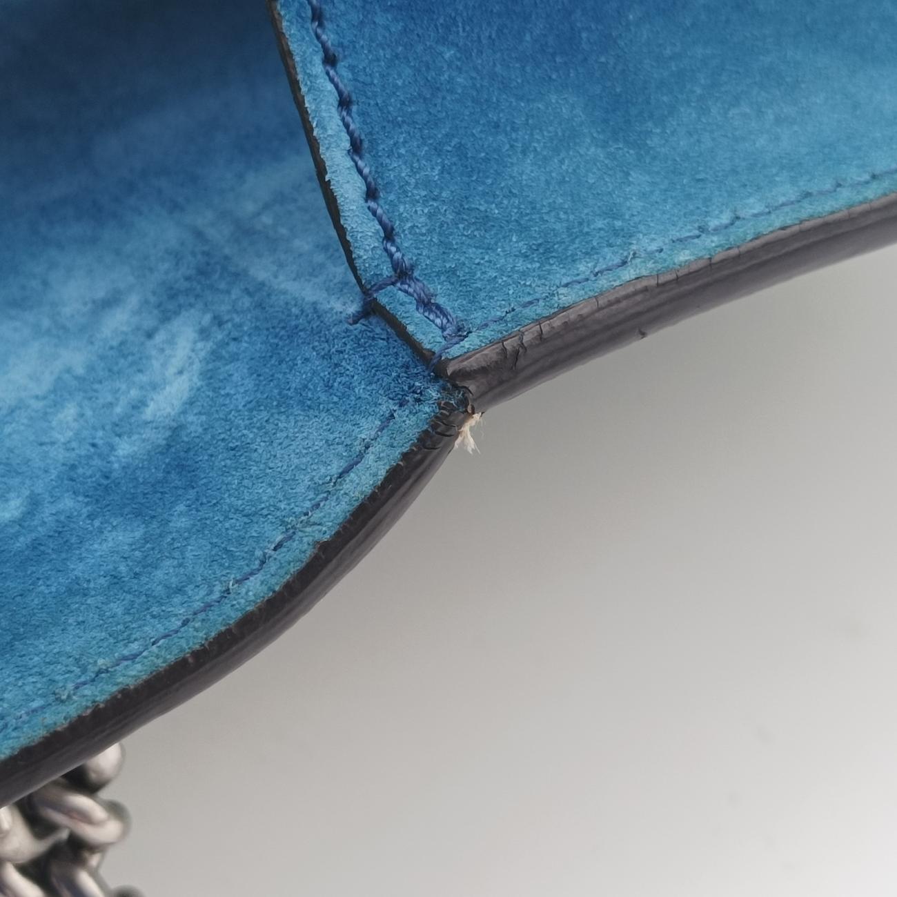 Vintage Gucci Dionysus Beige×Blue×Multicolour PVC coated canvas × suede 400249 shoulderbag | stylenewstar