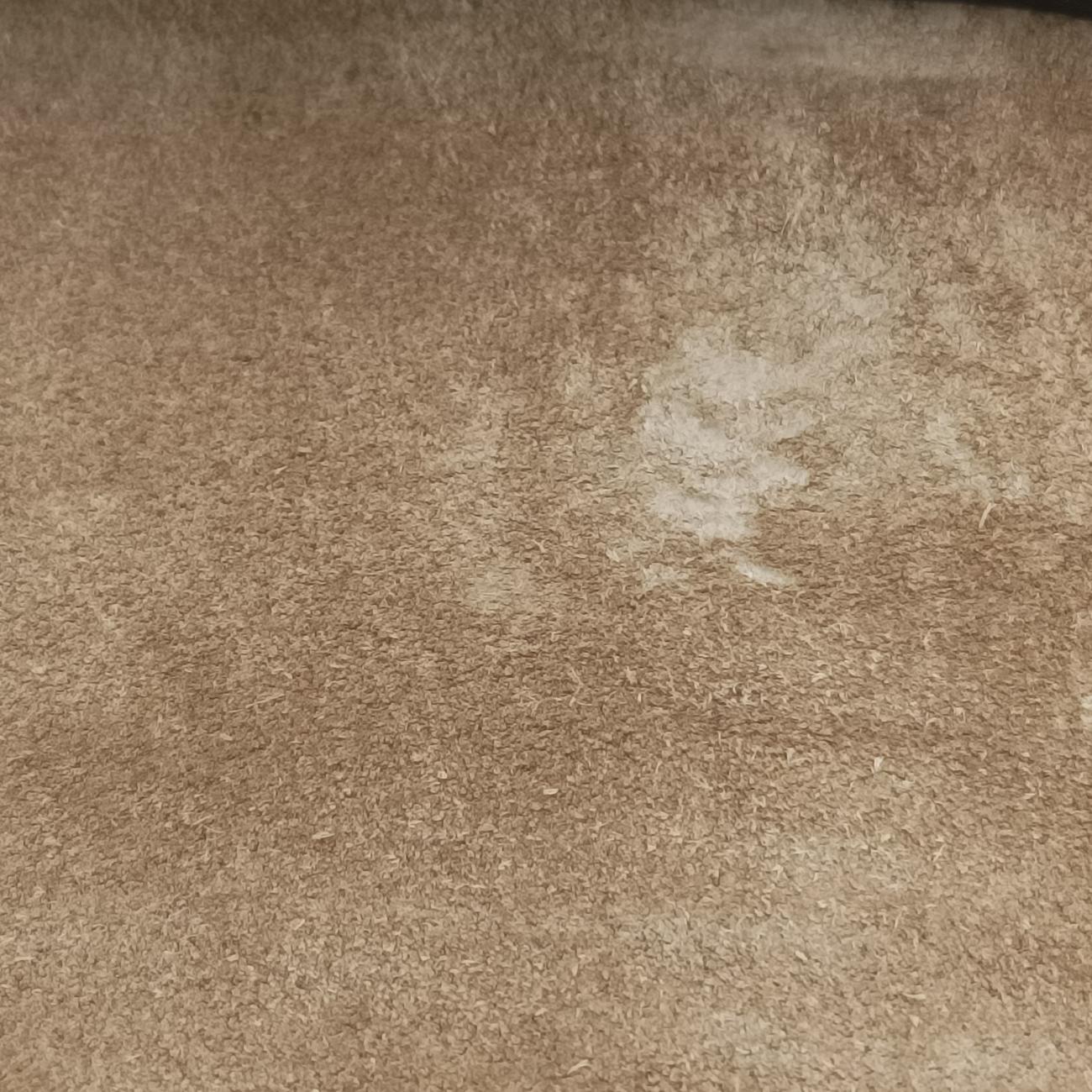 Vintage Gucci Dionysus beige×Multicolour PVC coated canvas 400235 shoulderbag | stylenewstar