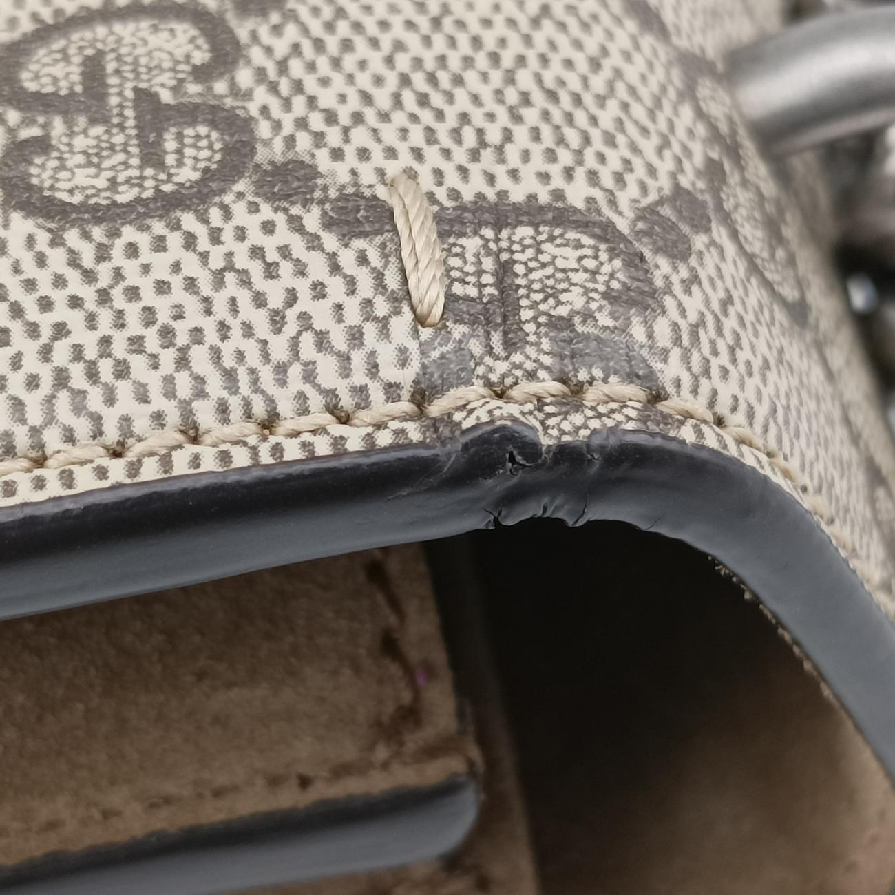 Vintage Gucci Dionysus beige×Multicolour PVC coated canvas 400235 shoulderbag | stylenewstar