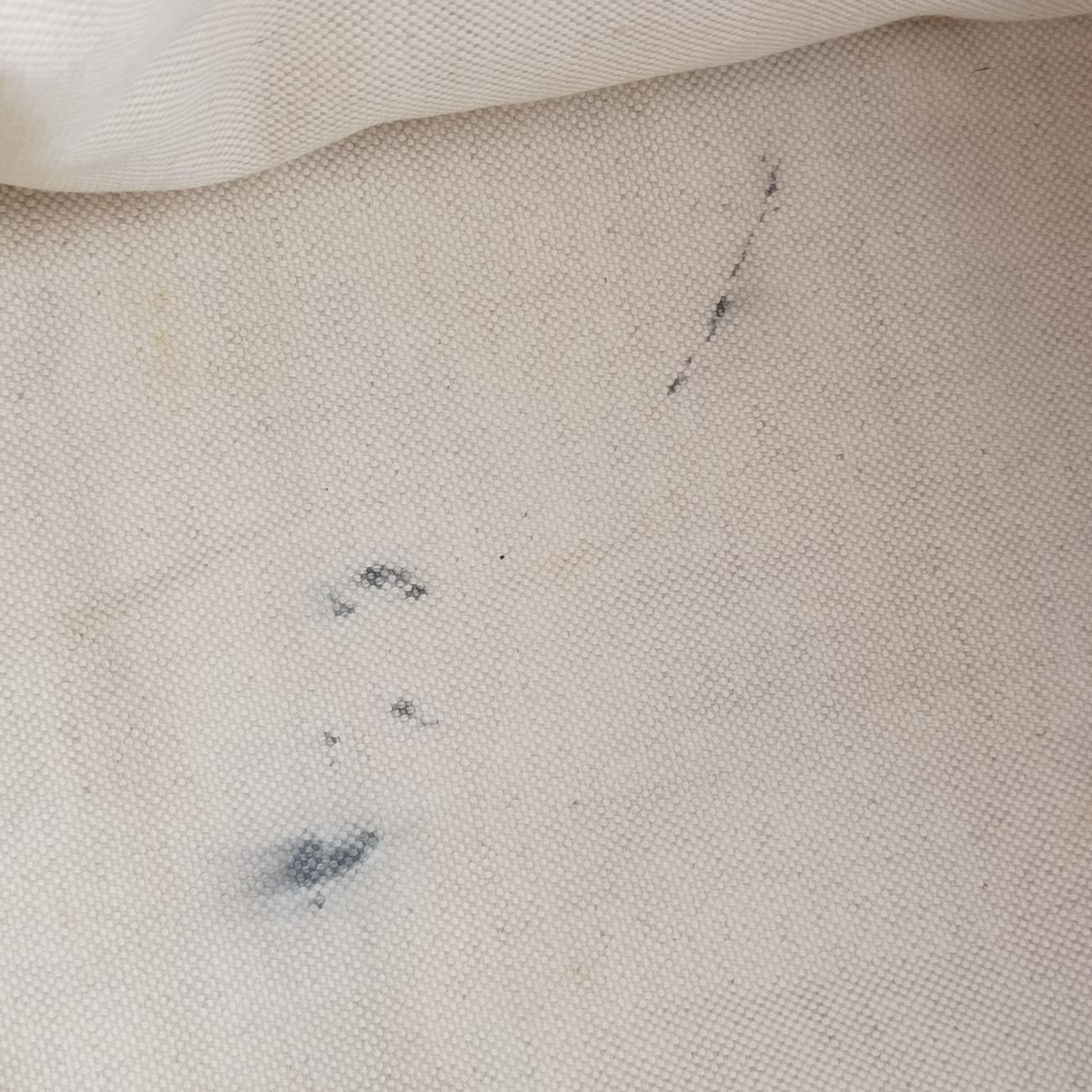 Pre-owned Gucci Sherry Line Orange x blue Leather 247205 shoulderbag | stylenewstar